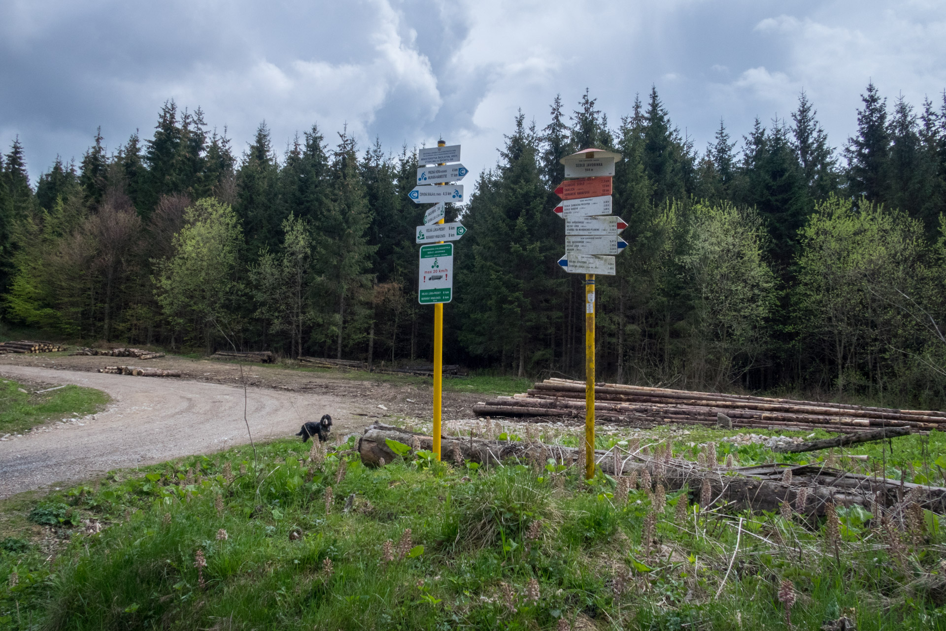 Hrebeňovka Slovenského Rudohoria (3. deň) (Muránska planina)