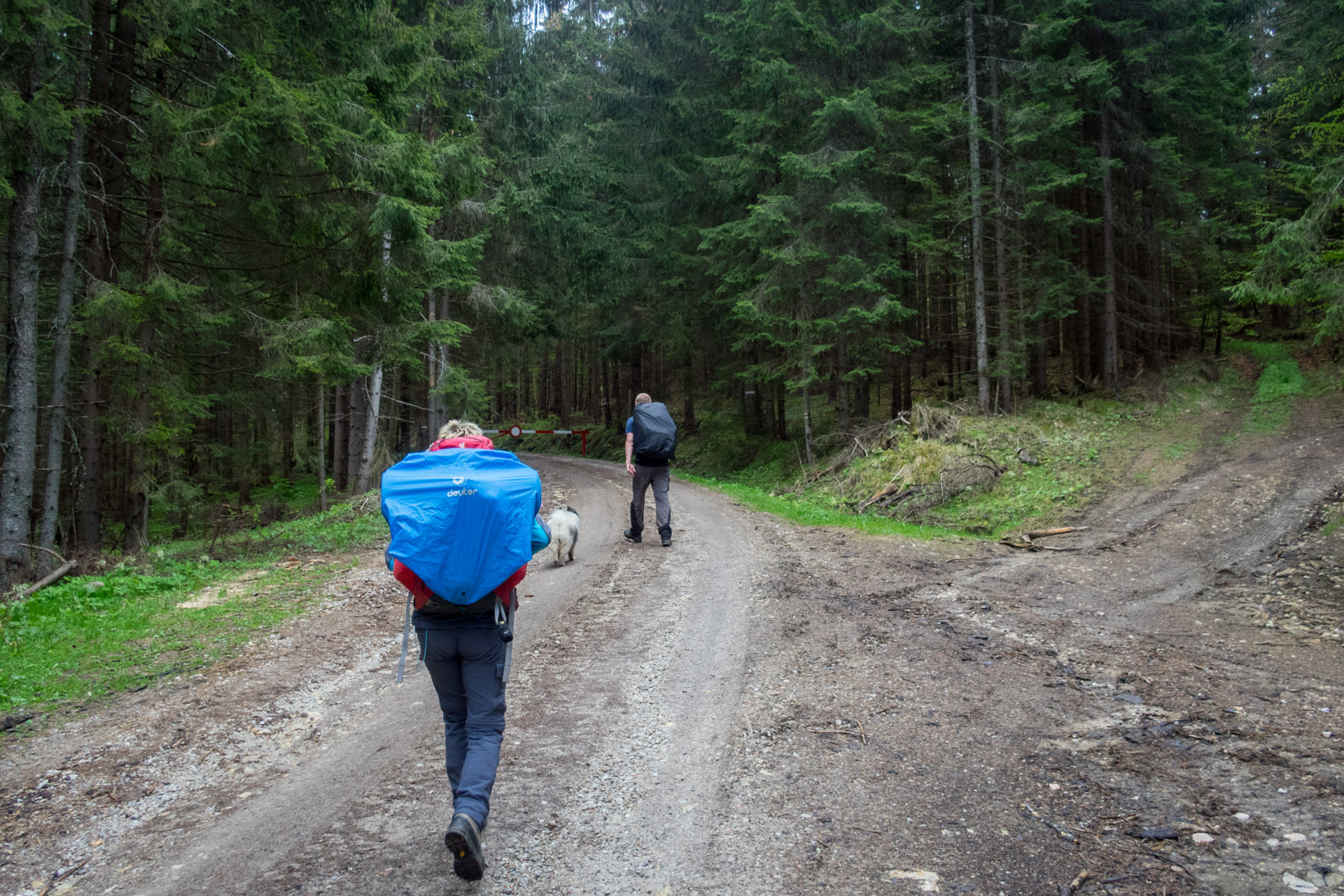 Hrebeňovka Slovenského Rudohoria (3. deň) (Muránska planina)