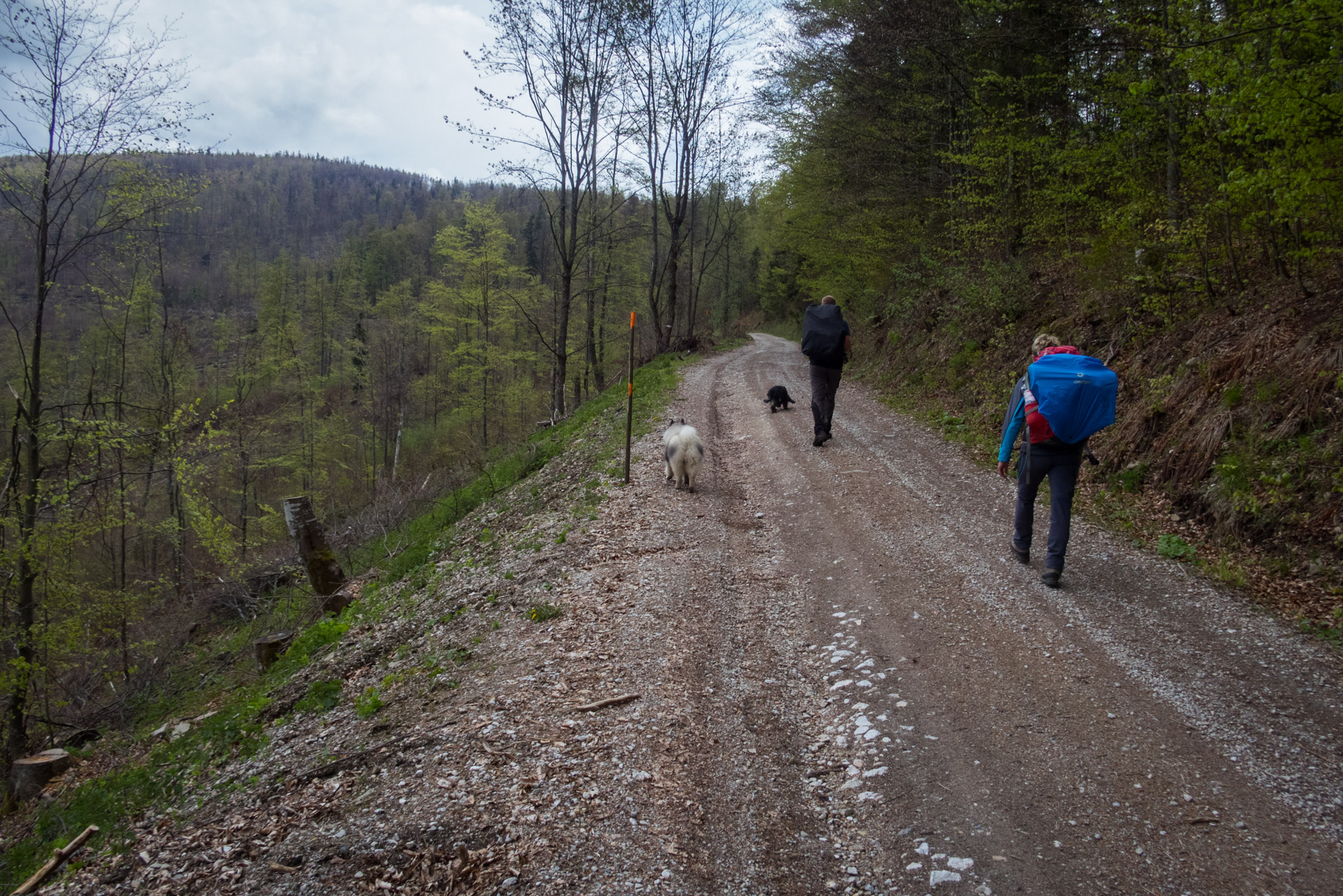 Hrebeňovka Slovenského Rudohoria (3. deň) (Muránska planina)