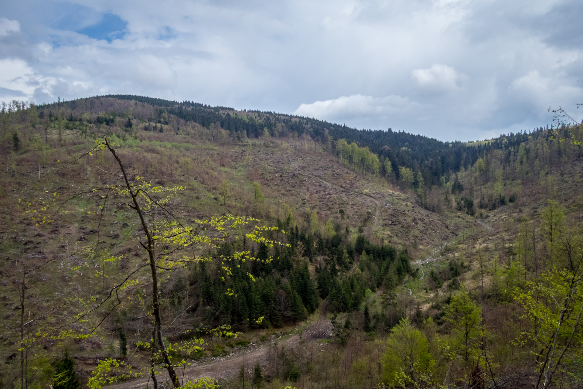 Hrebeňovka Slovenského Rudohoria (3. deň) (Muránska planina)