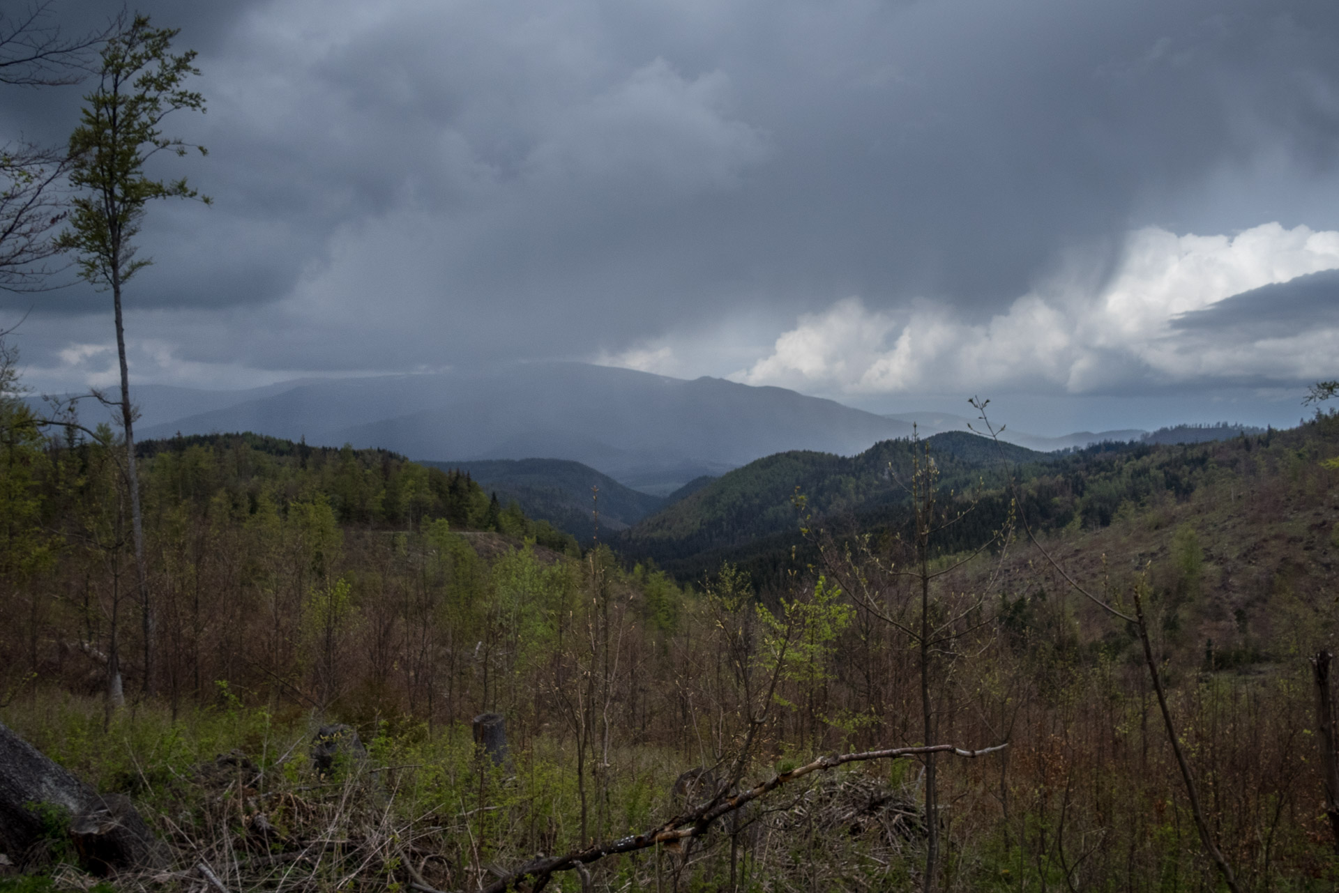 Hrebeňovka Slovenského Rudohoria (3. deň) (Muránska planina)