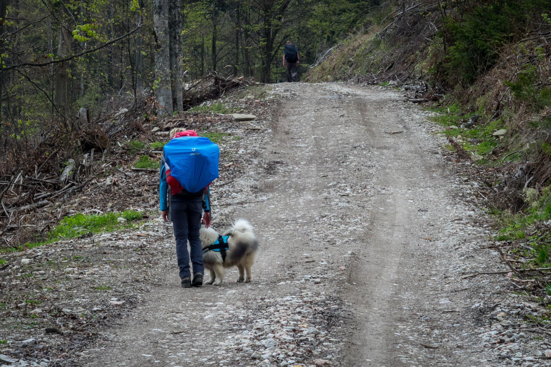 Hrebeňovka Slovenského Rudohoria (3. deň) (Muránska planina)