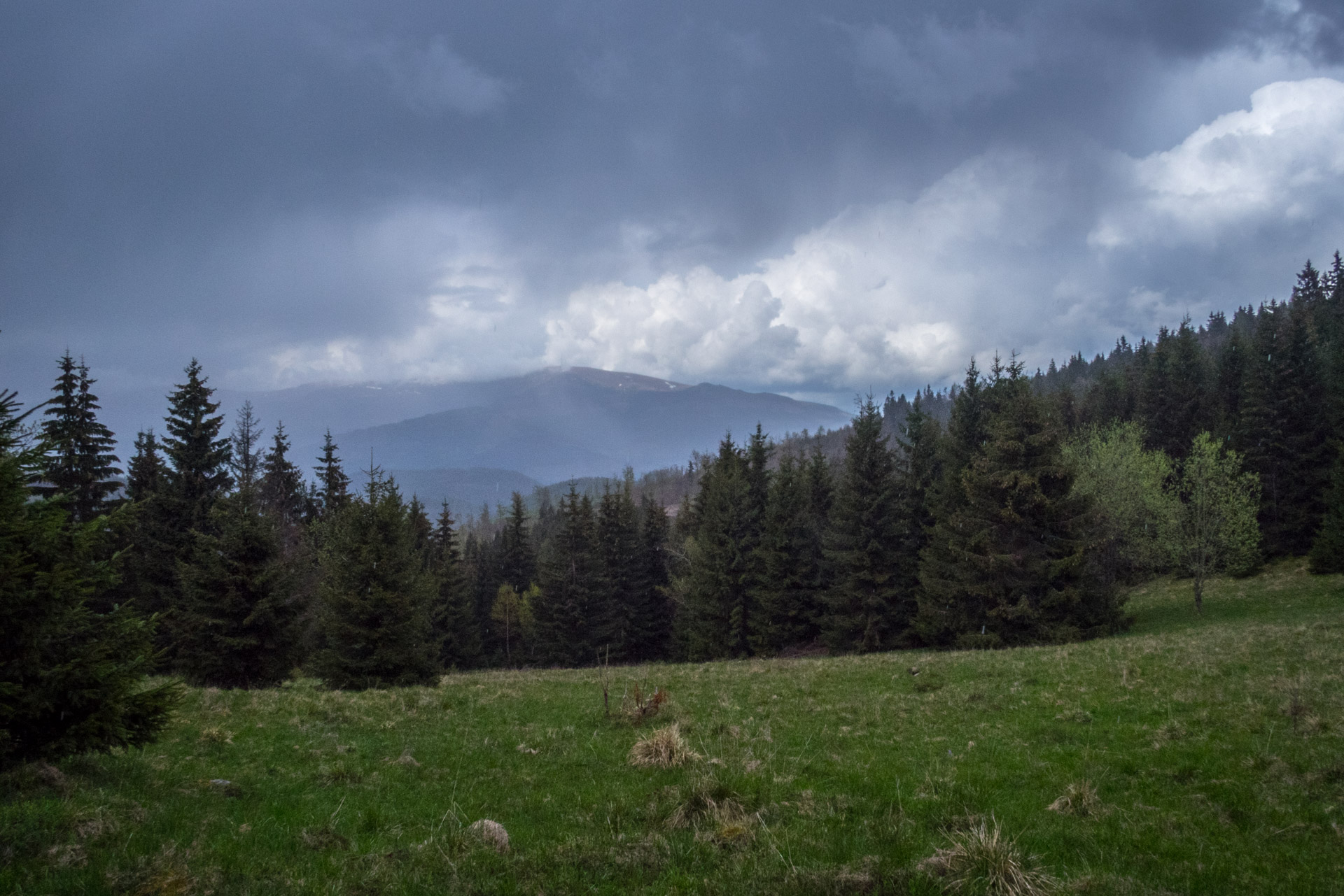 Hrebeňovka Slovenského Rudohoria (3. deň) (Muránska planina)