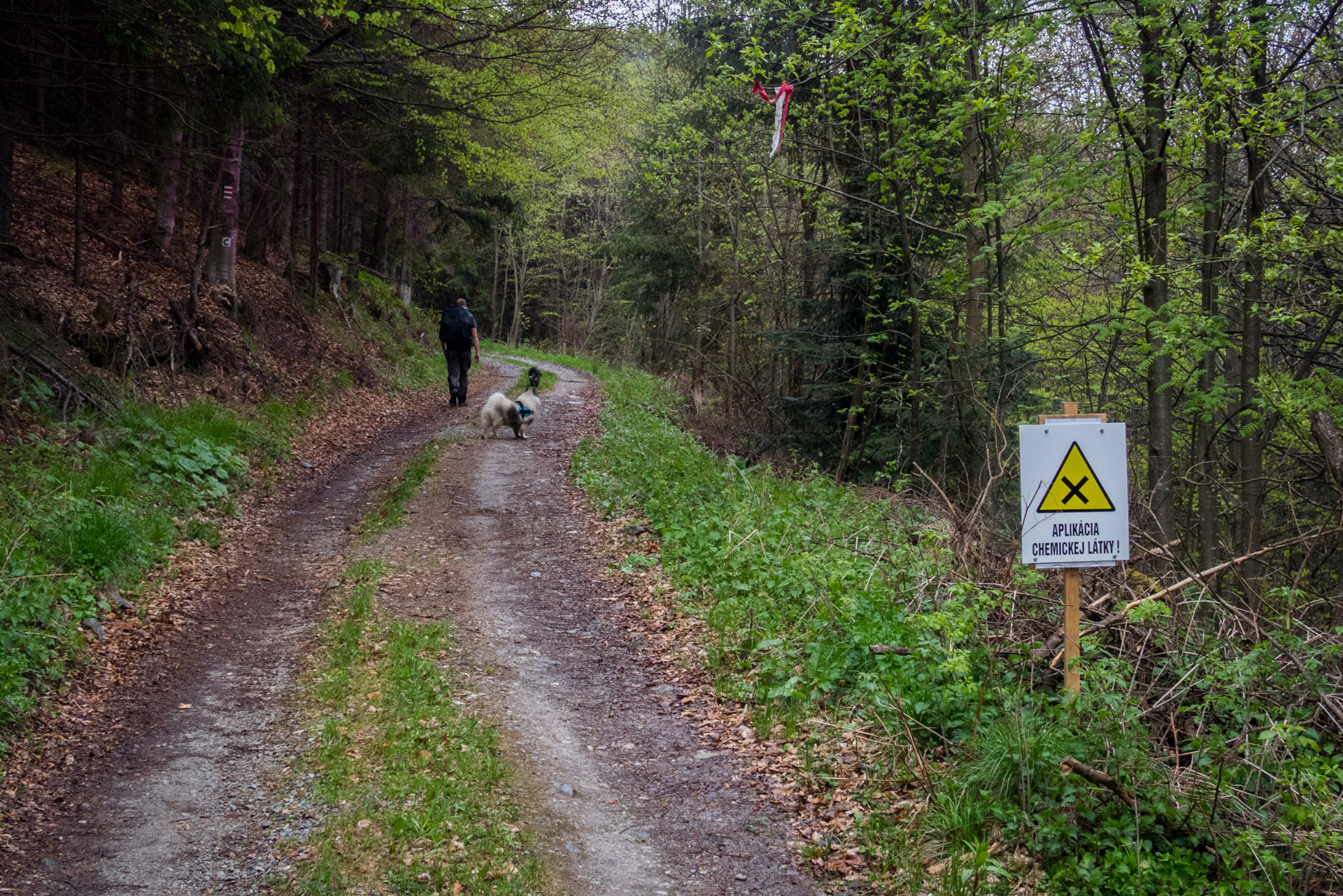 Hrebeňovka Slovenského Rudohoria (3. deň) (Muránska planina)