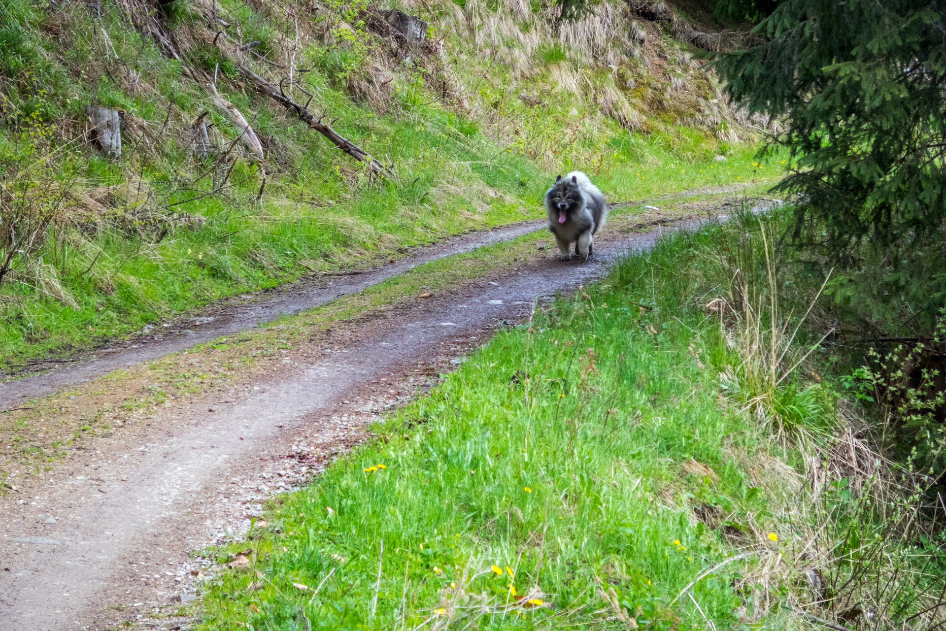 Hrebeňovka Slovenského Rudohoria (3. deň) (Muránska planina)