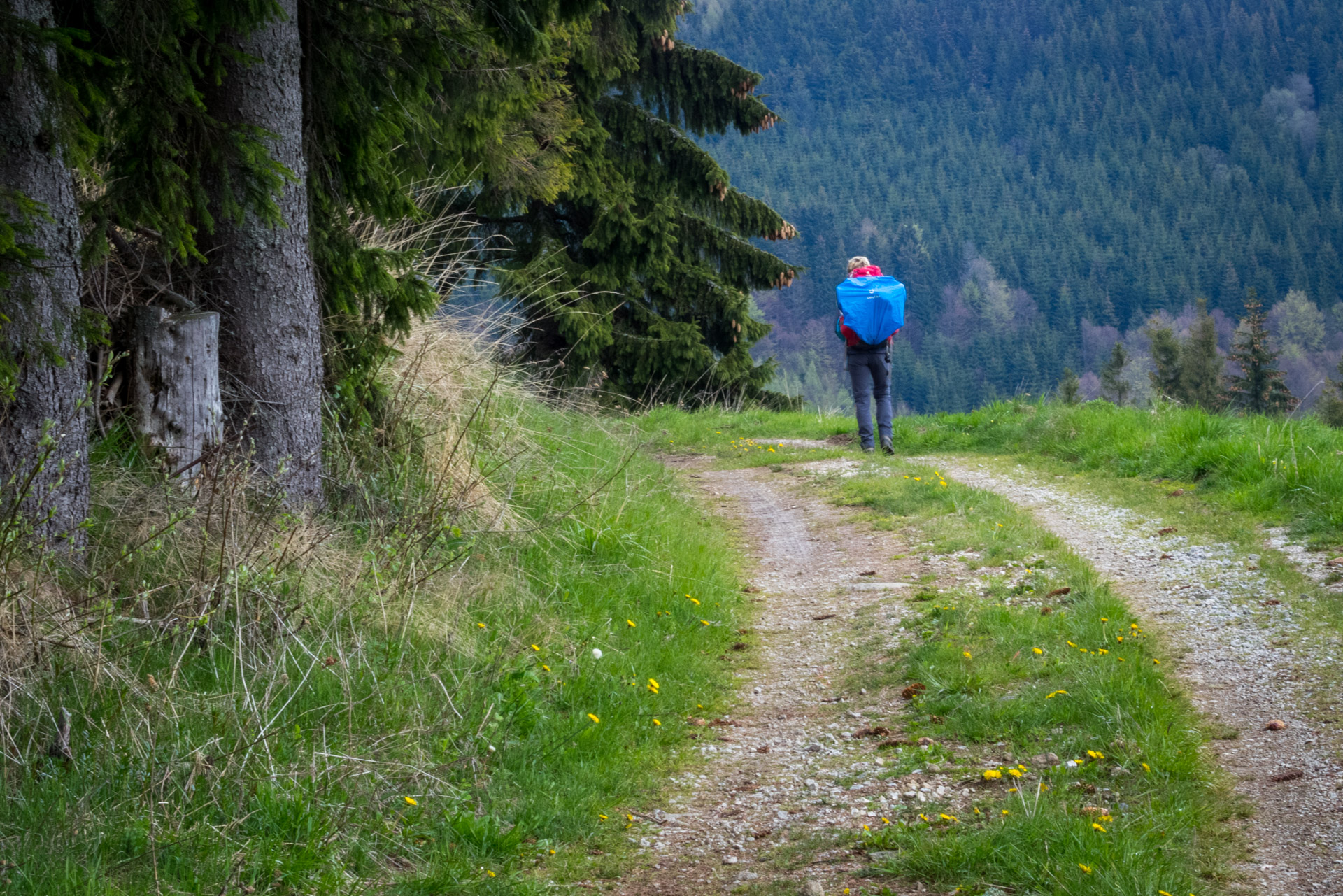 Hrebeňovka Slovenského Rudohoria (3. deň) (Muránska planina)