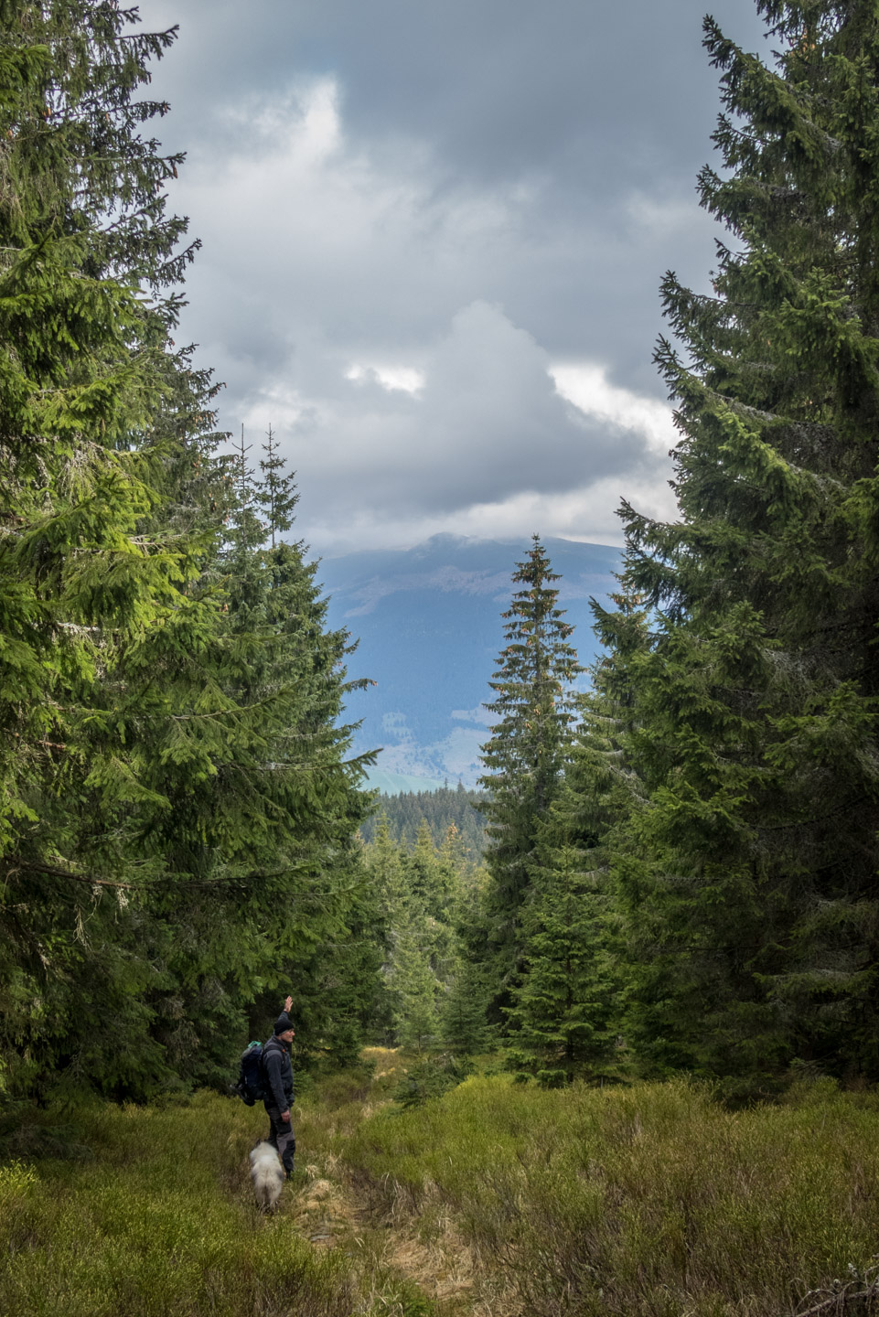 Hrebeňovka Slovenského Rudohoria (4. deň) (Slovenský raj)