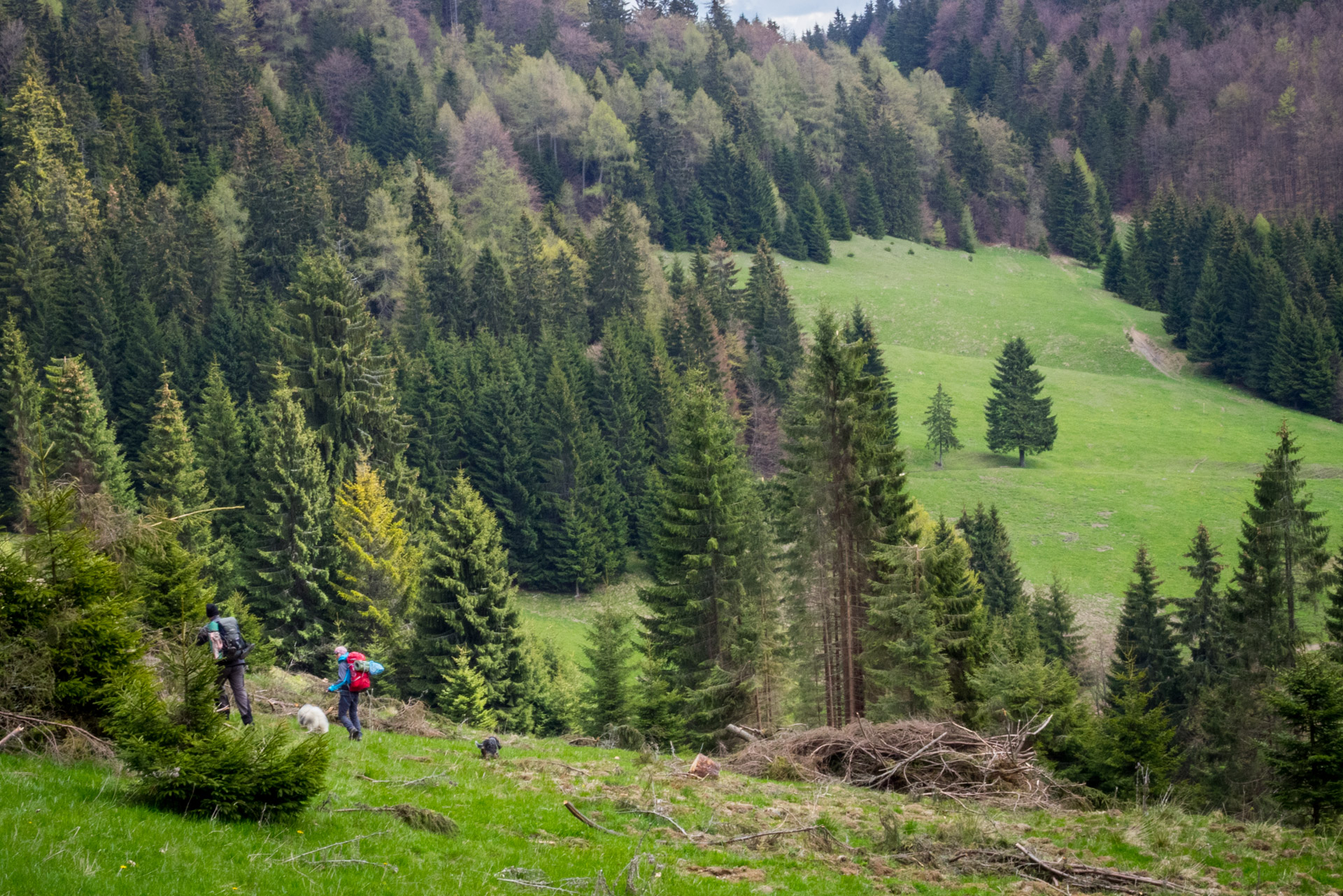 Hrebeňovka Slovenského Rudohoria (4. deň) (Slovenský raj)