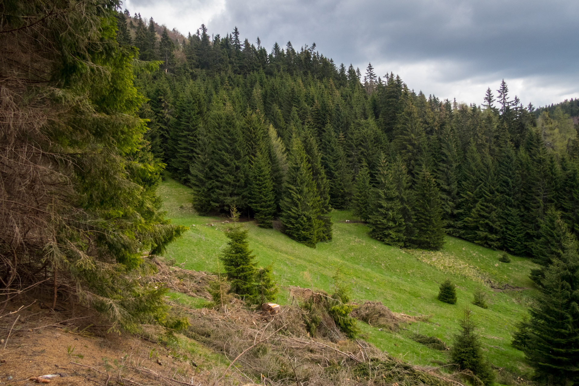 Hrebeňovka Slovenského Rudohoria (4. deň) (Slovenský raj)