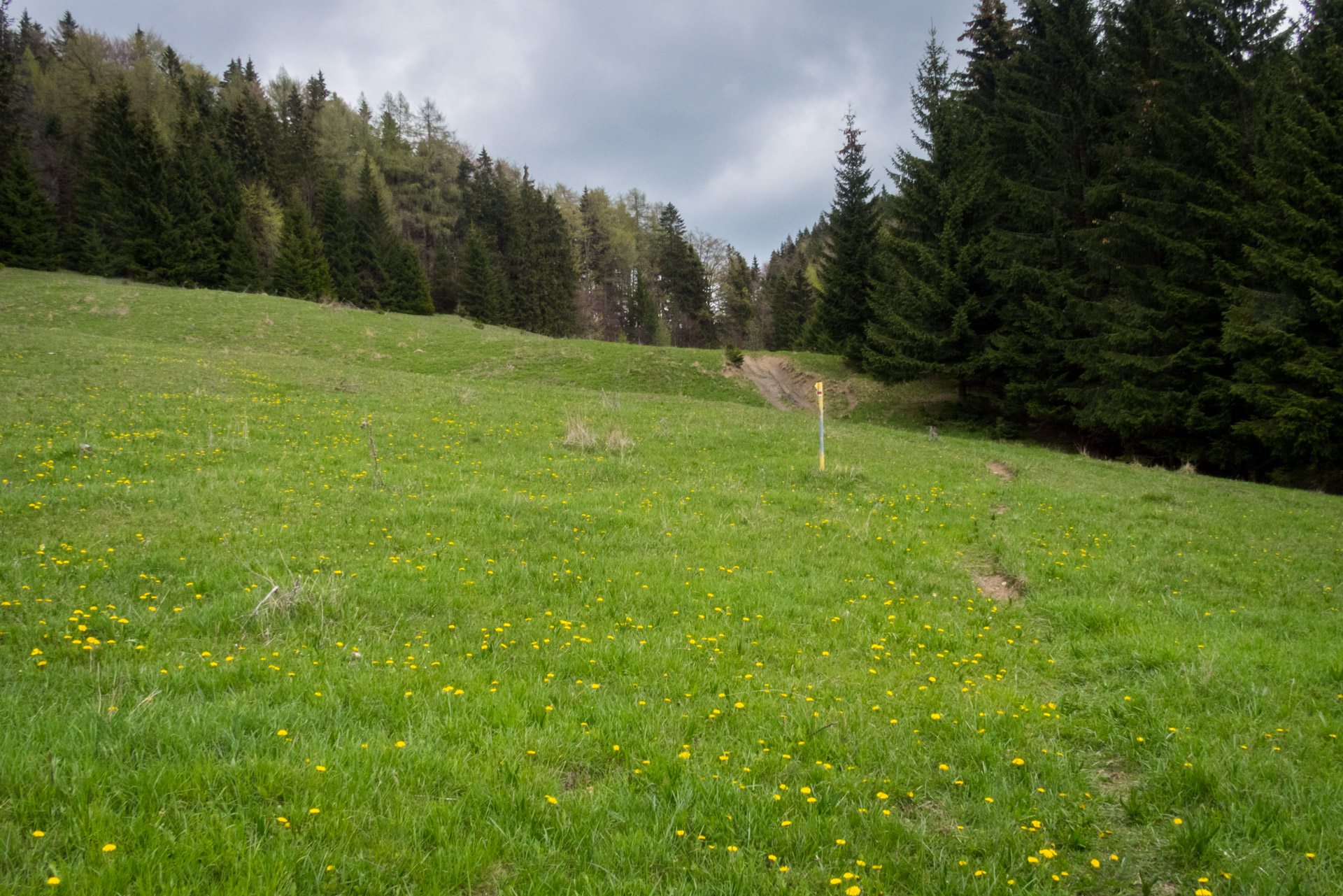 Hrebeňovka Slovenského Rudohoria (4. deň) (Slovenský raj)