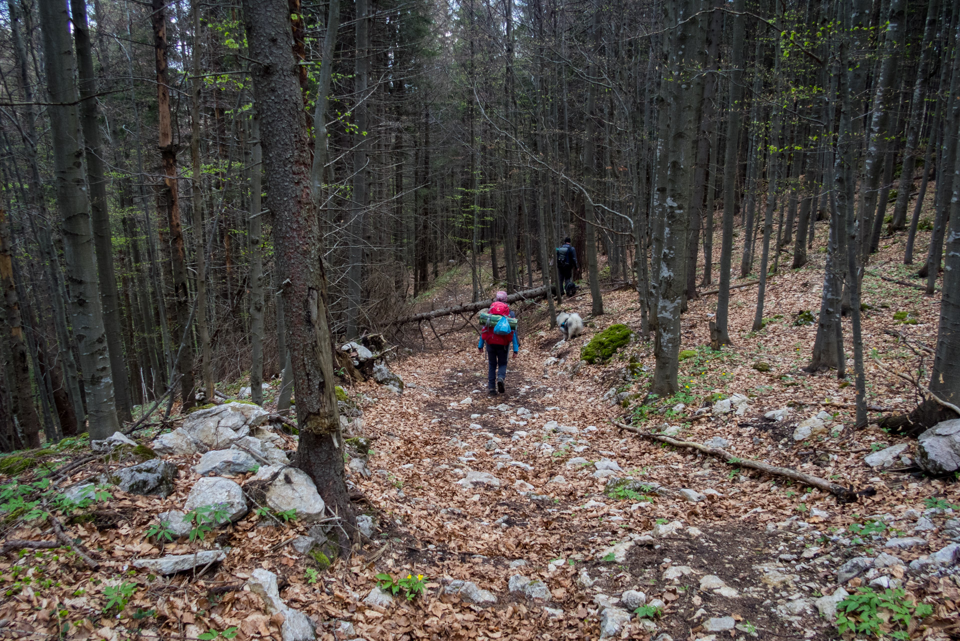 Hrebeňovka Slovenského Rudohoria (4. deň) (Slovenský raj)