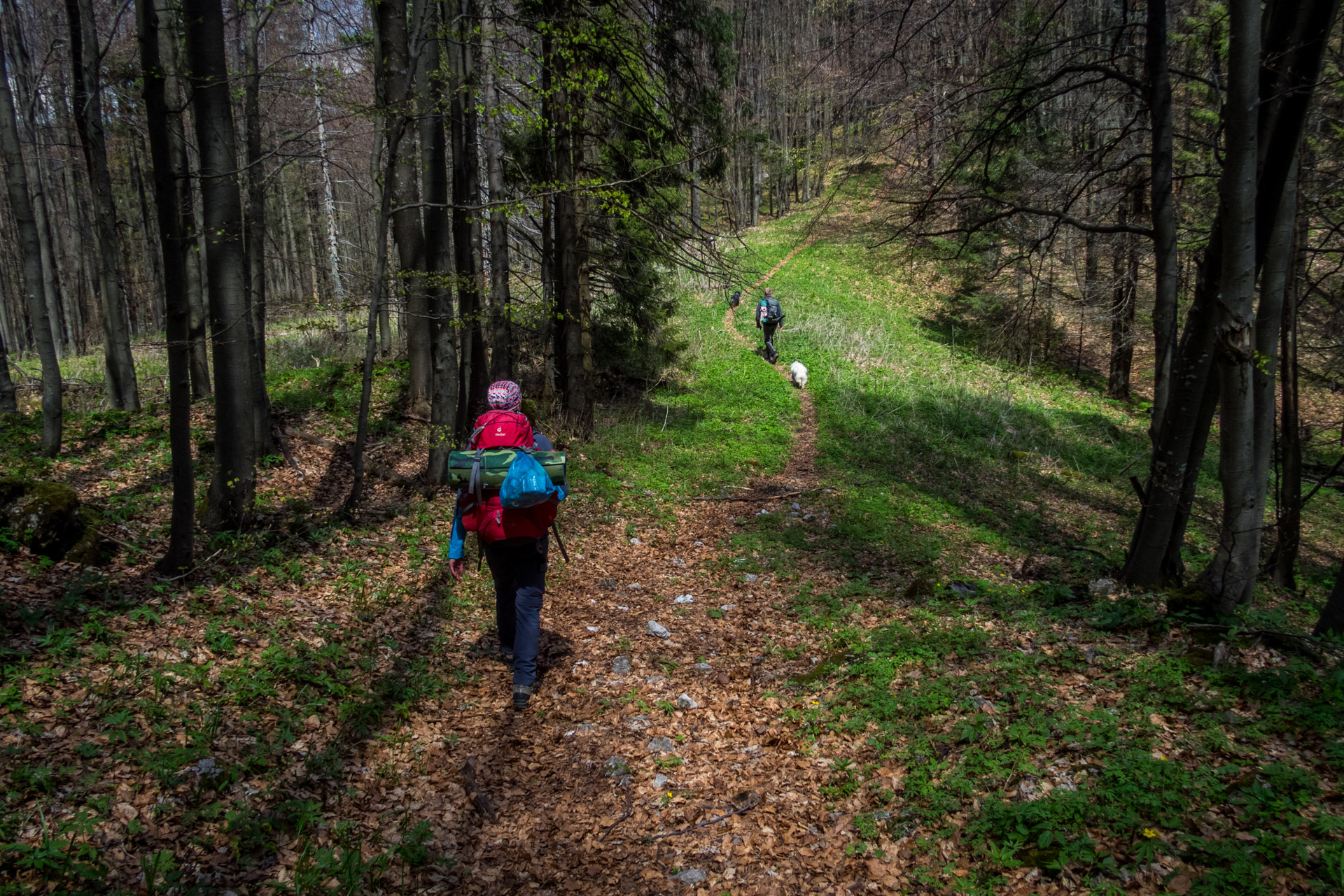 Hrebeňovka Slovenského Rudohoria (4. deň) (Slovenský raj)