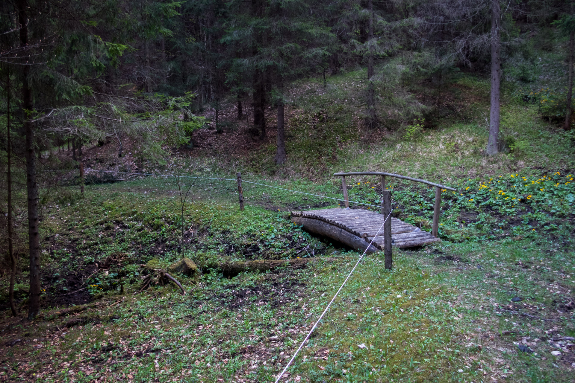 Hrebeňovka Slovenského Rudohoria (4. deň) (Slovenský raj)