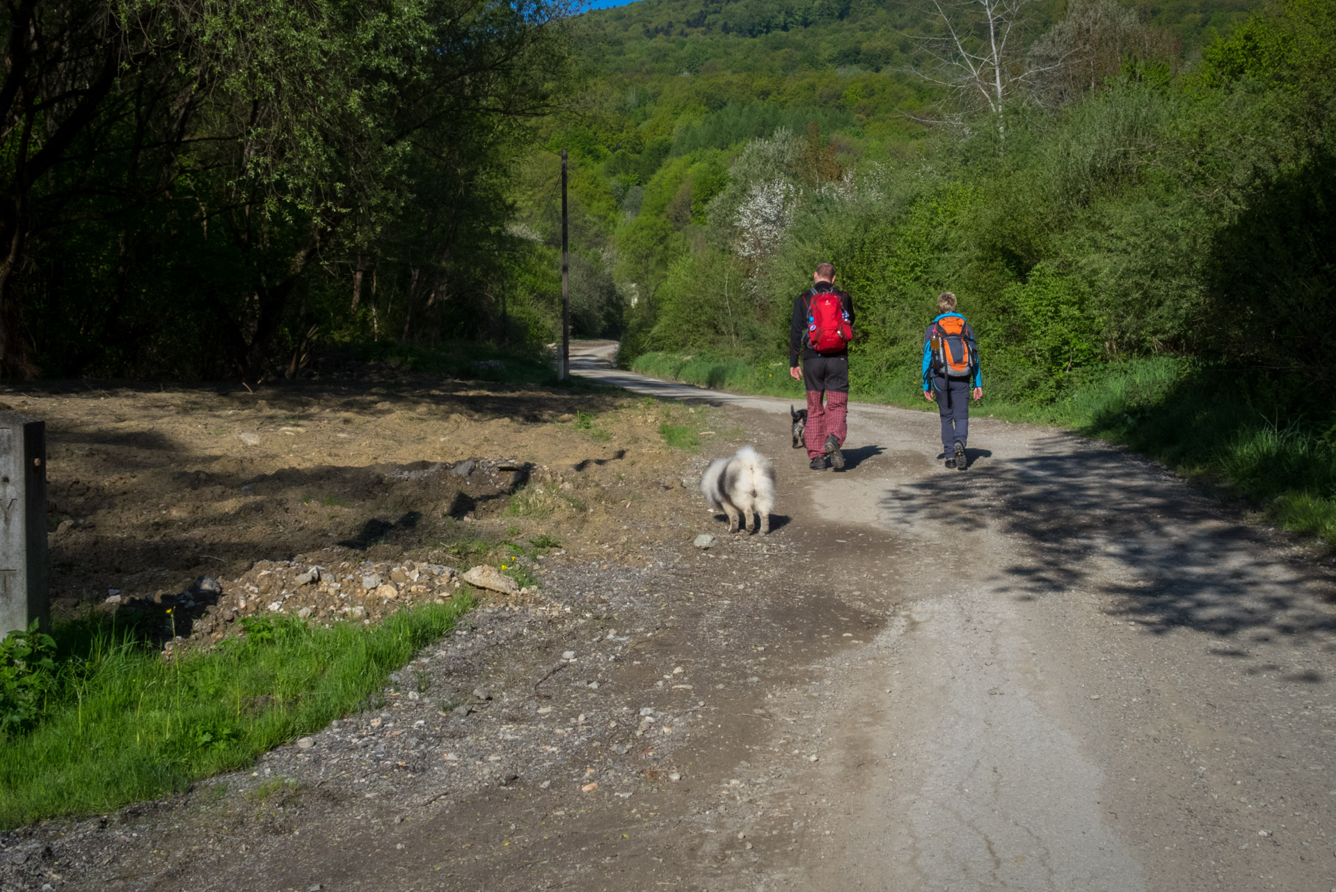 Jelení vrch z Medzeva (Slovenský kras)