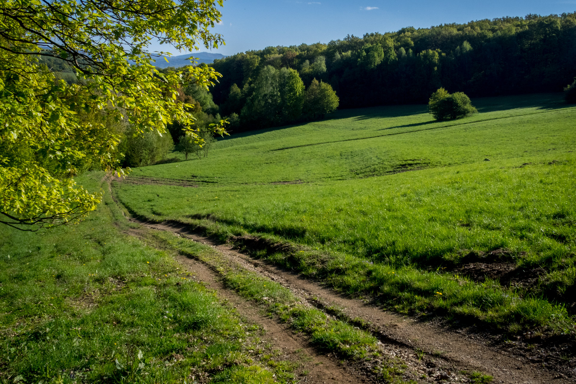 Jelení vrch z Medzeva (Slovenský kras)