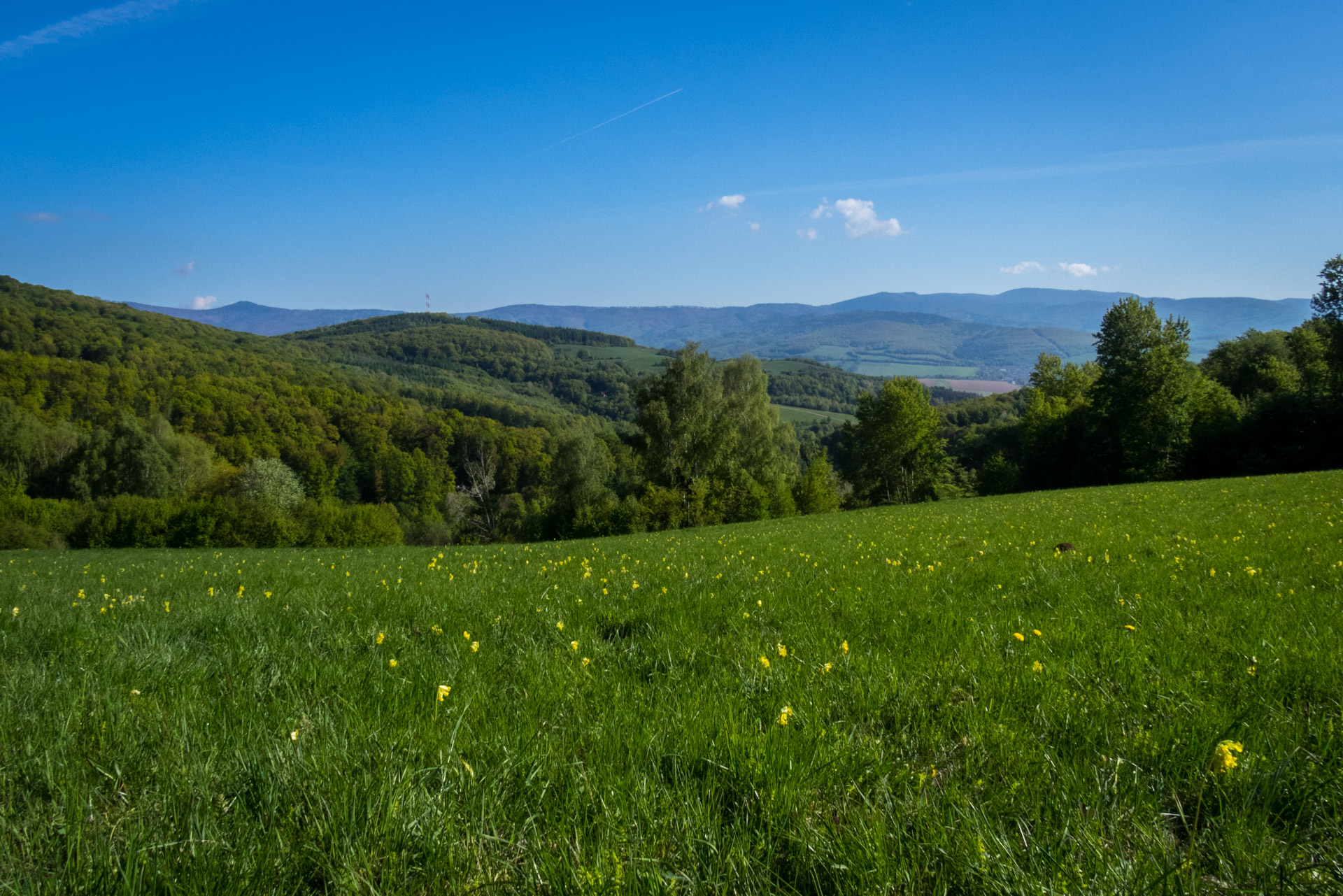 Jelení vrch z Medzeva (Slovenský kras)