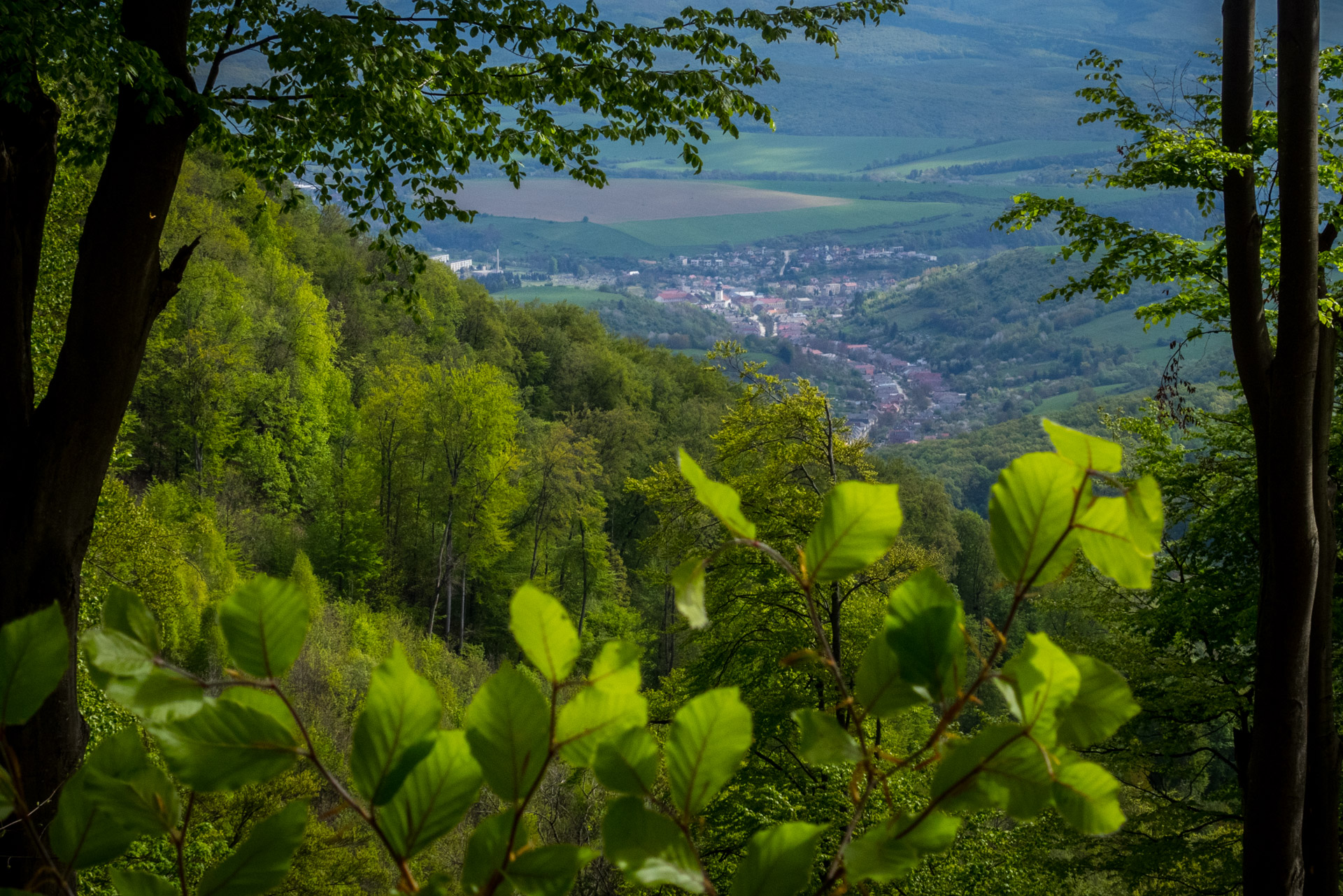 Jelení vrch z Medzeva (Slovenský kras)