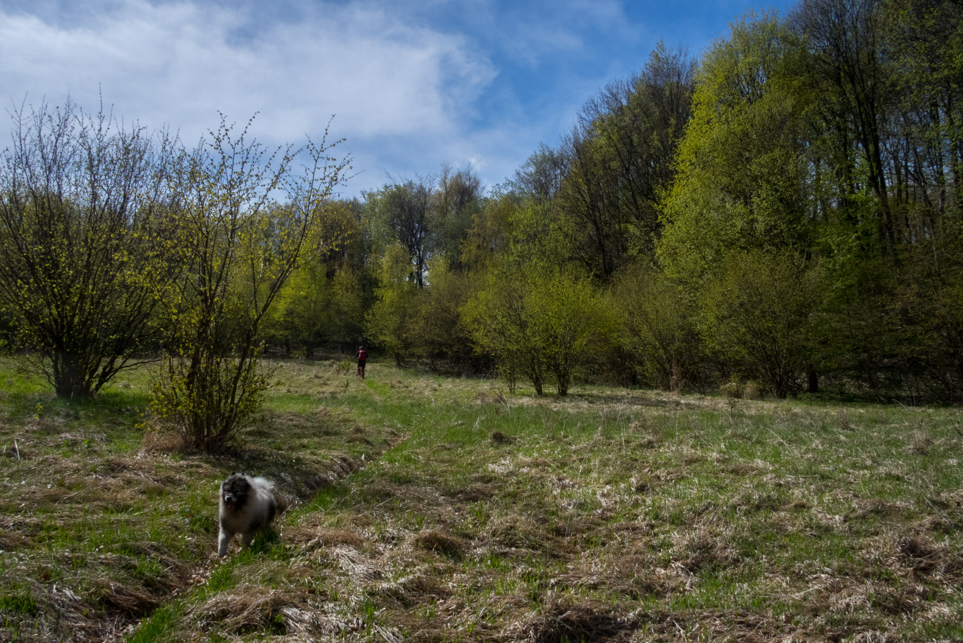 Jelení vrch z Medzeva (Slovenský kras)