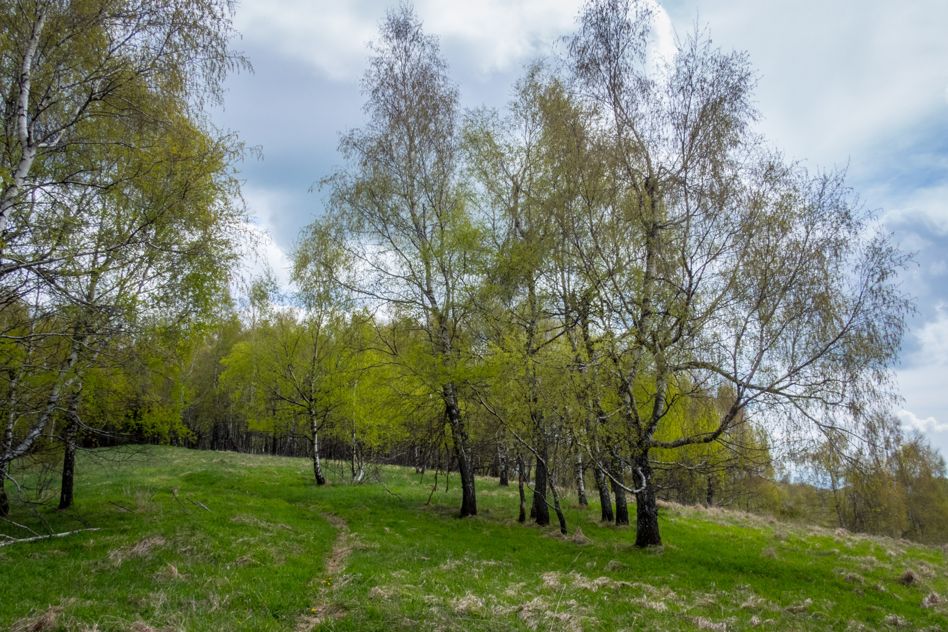 Jelení vrch z Medzeva (Slovenský kras)