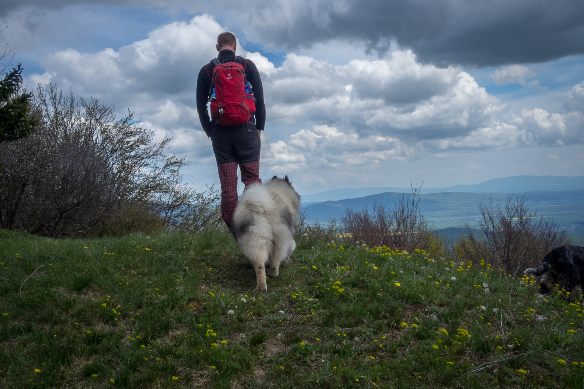 Jelení vrch z Medzeva (Slovenský kras)