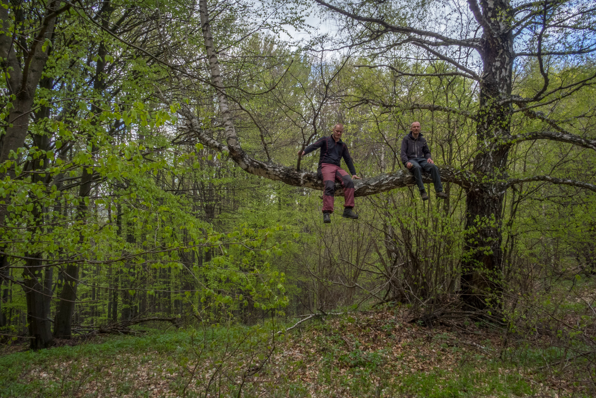 Jelení vrch z Medzeva (Slovenský kras)