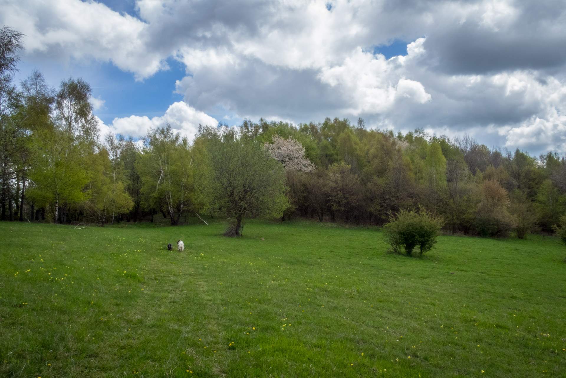 Jelení vrch z Medzeva (Slovenský kras)