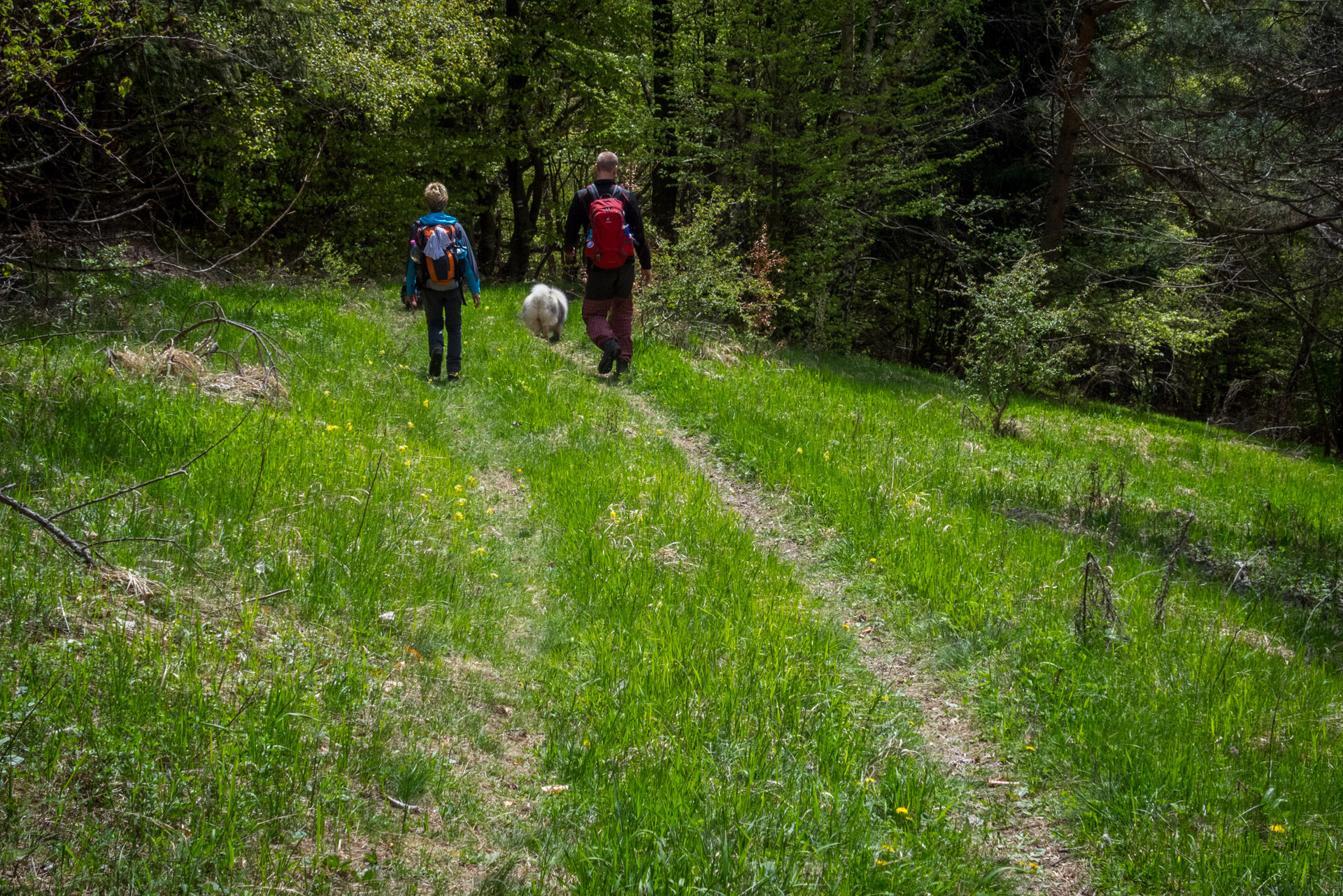 Jelení vrch z Medzeva (Slovenský kras)