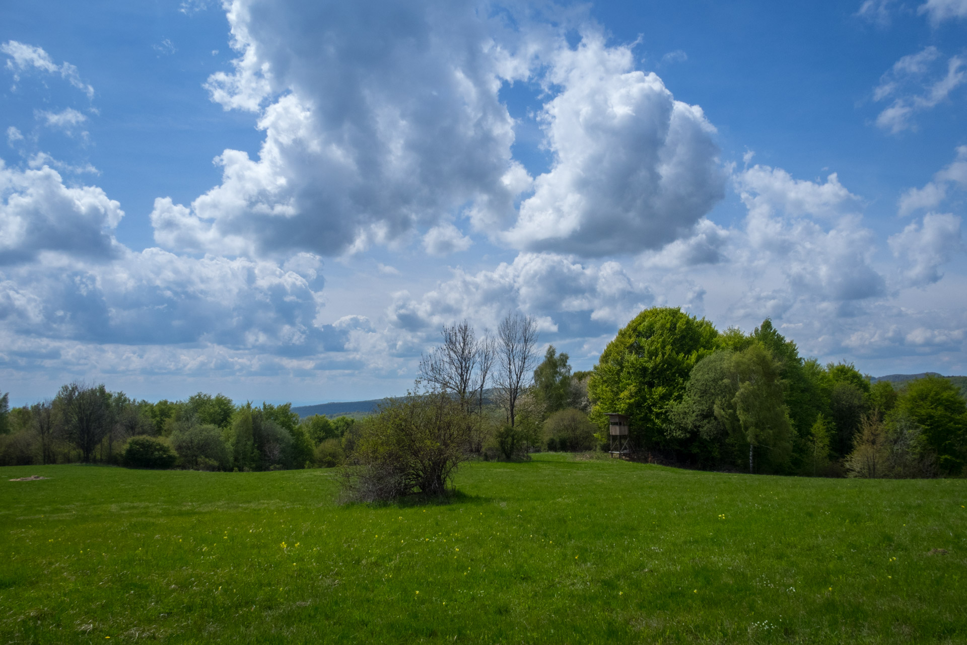 Jelení vrch z Medzeva (Slovenský kras)