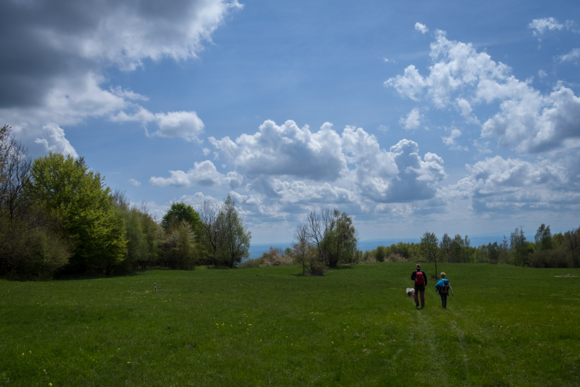 Jelení vrch z Medzeva (Slovenský kras)