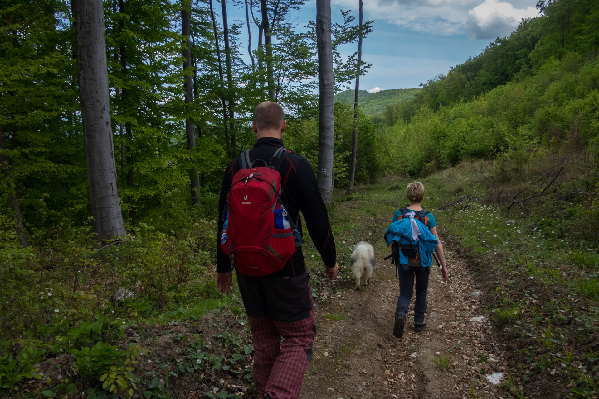 Jelení vrch z Medzeva (Slovenský kras)