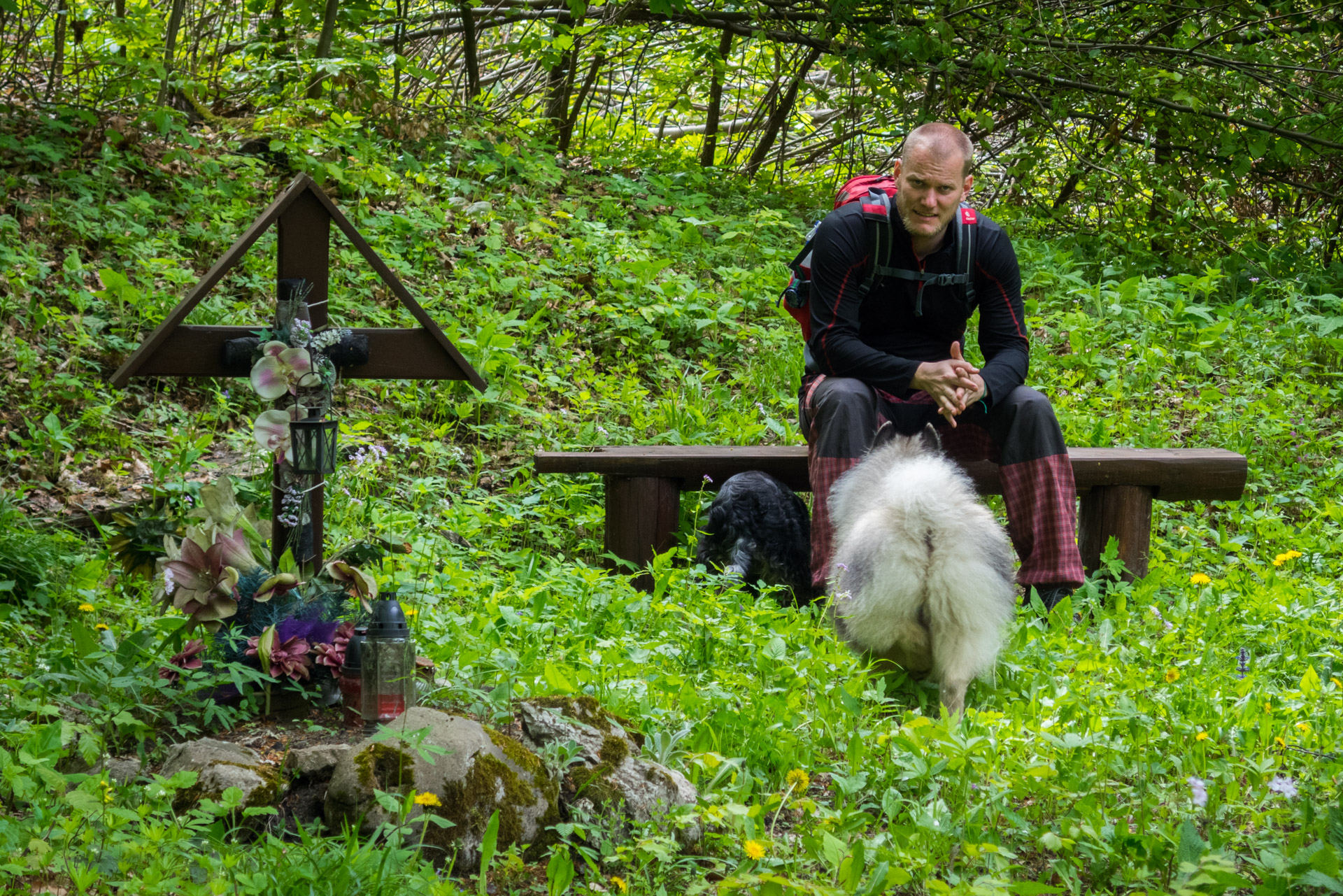 Jelení vrch z Medzeva (Slovenský kras)