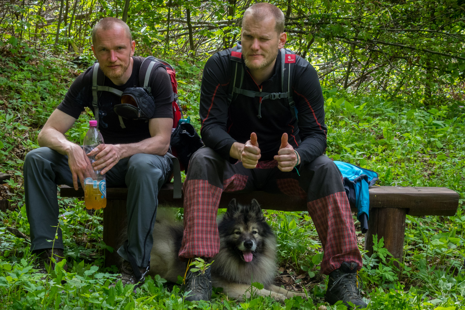 Jelení vrch z Medzeva (Slovenský kras)