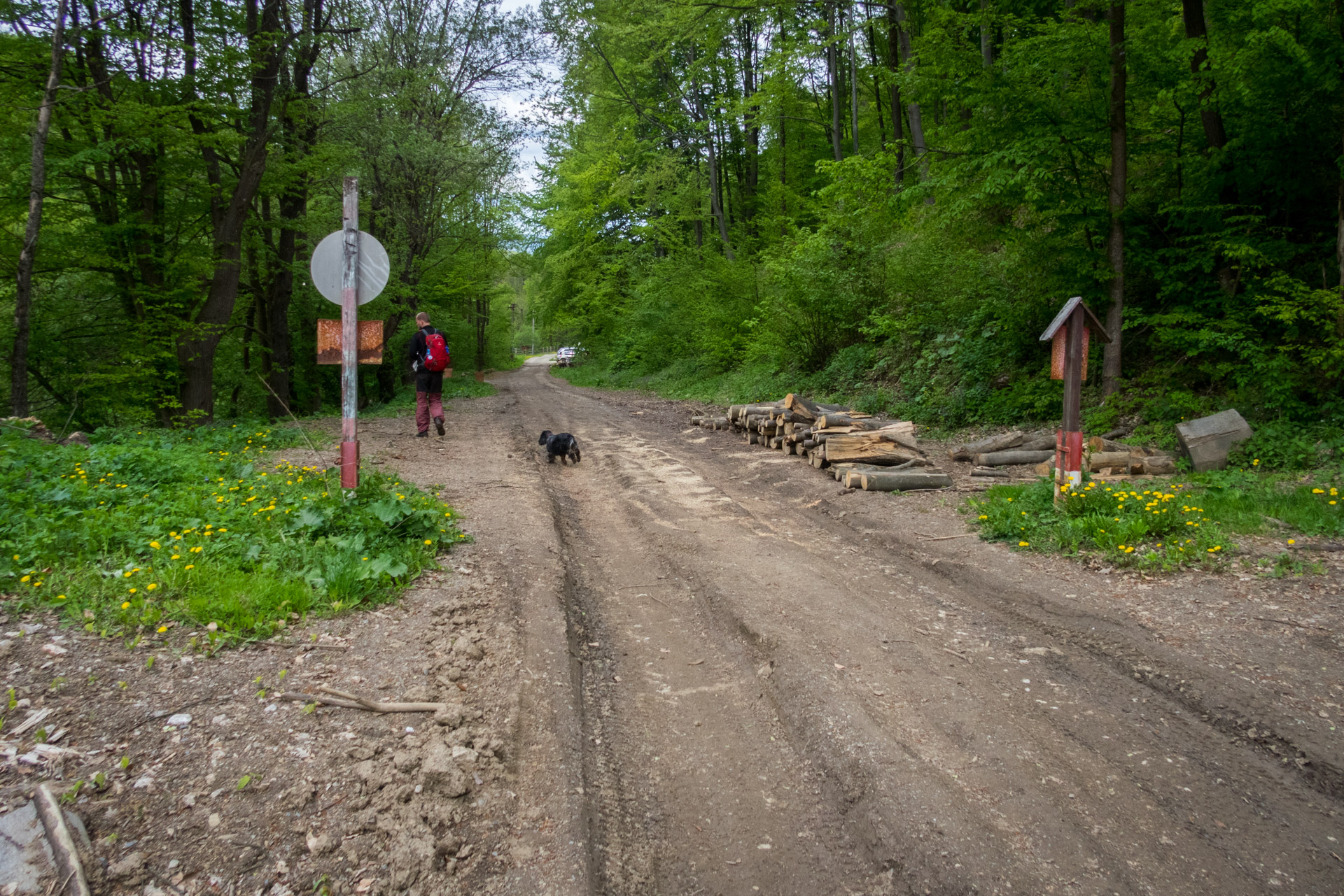 Jelení vrch z Medzeva (Slovenský kras)