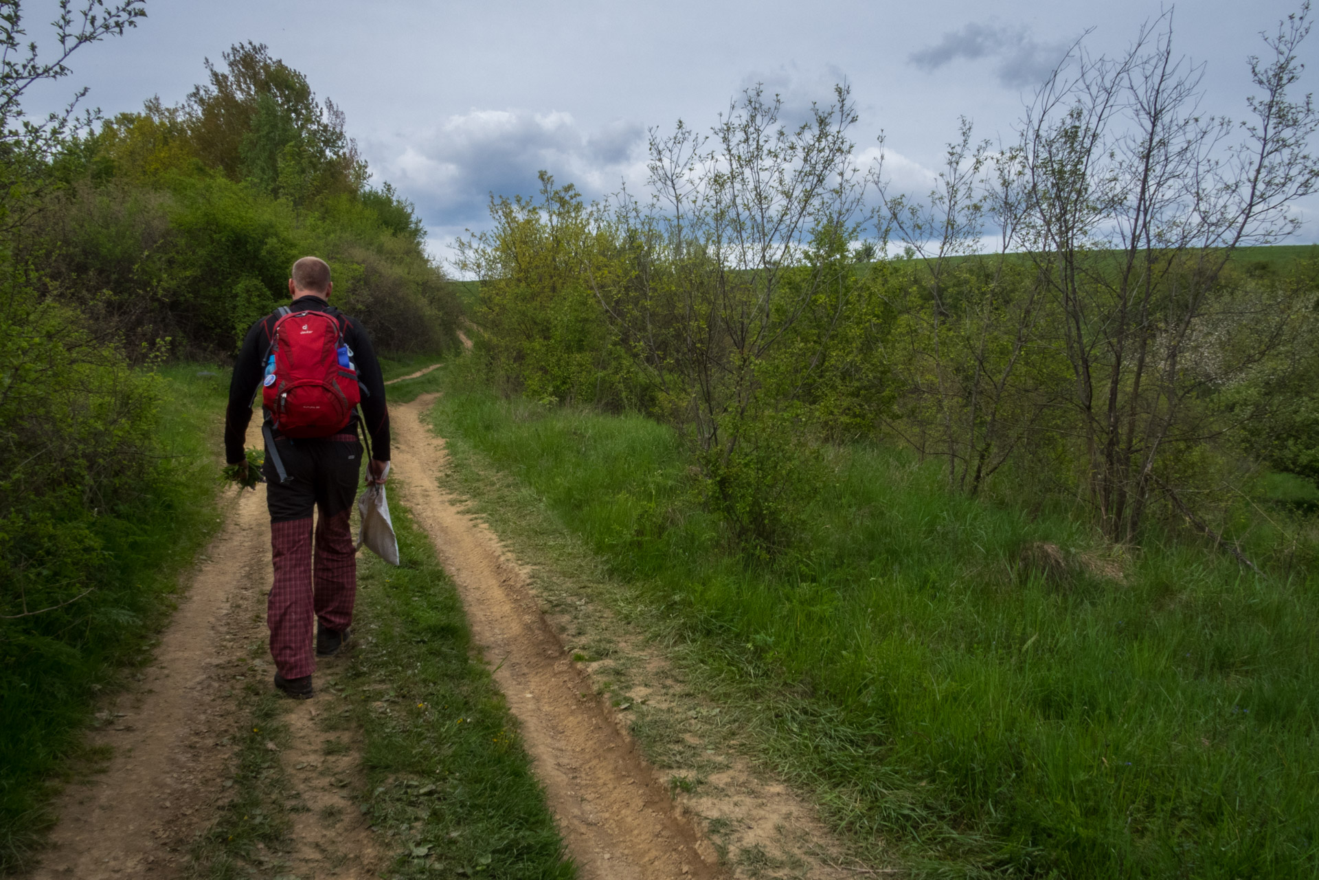 Jelení vrch z Medzeva (Slovenský kras)