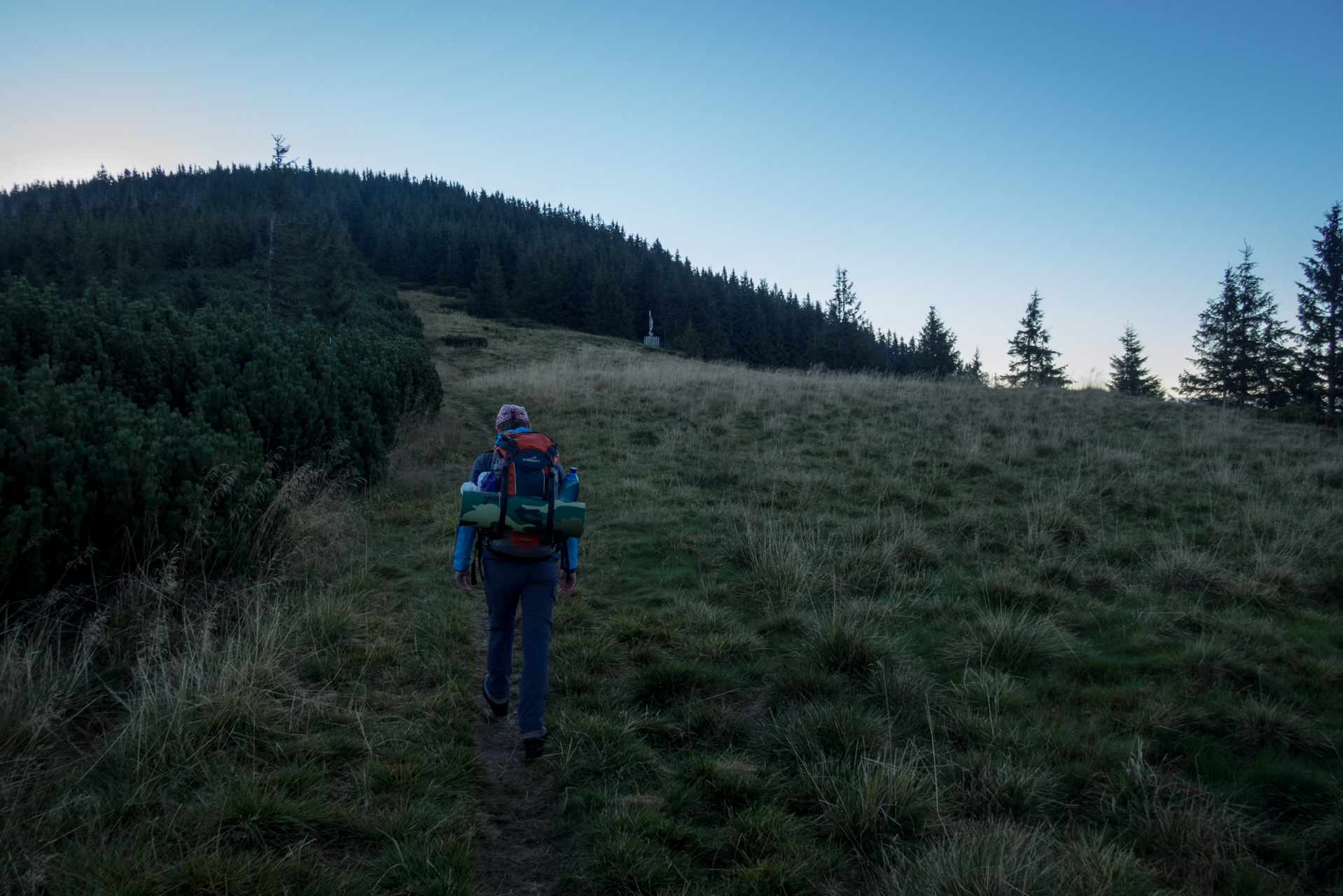 Kráľova hoľa z Andrejcovej (Nízke Tatry)