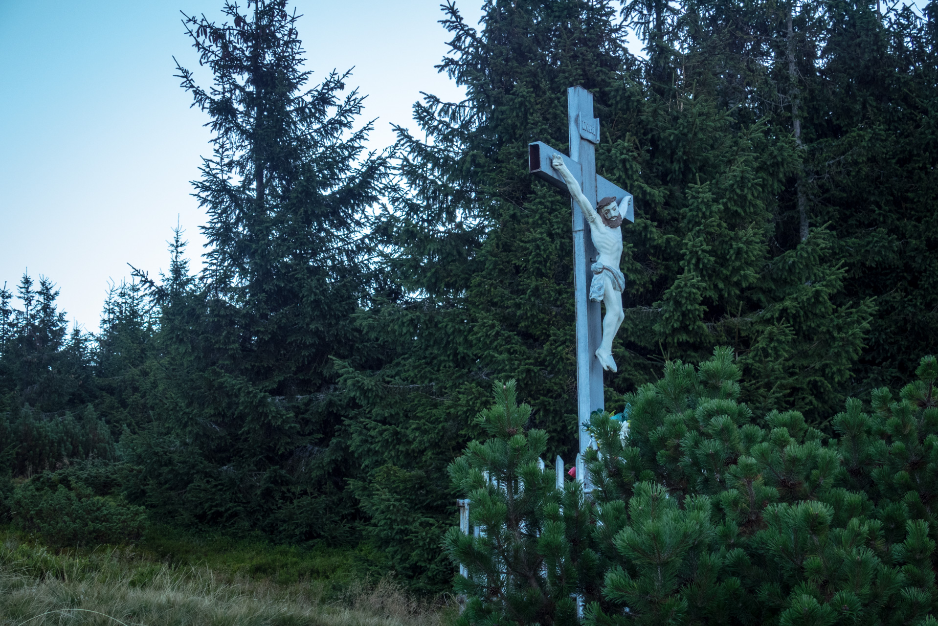 Kráľova hoľa z Andrejcovej (Nízke Tatry)