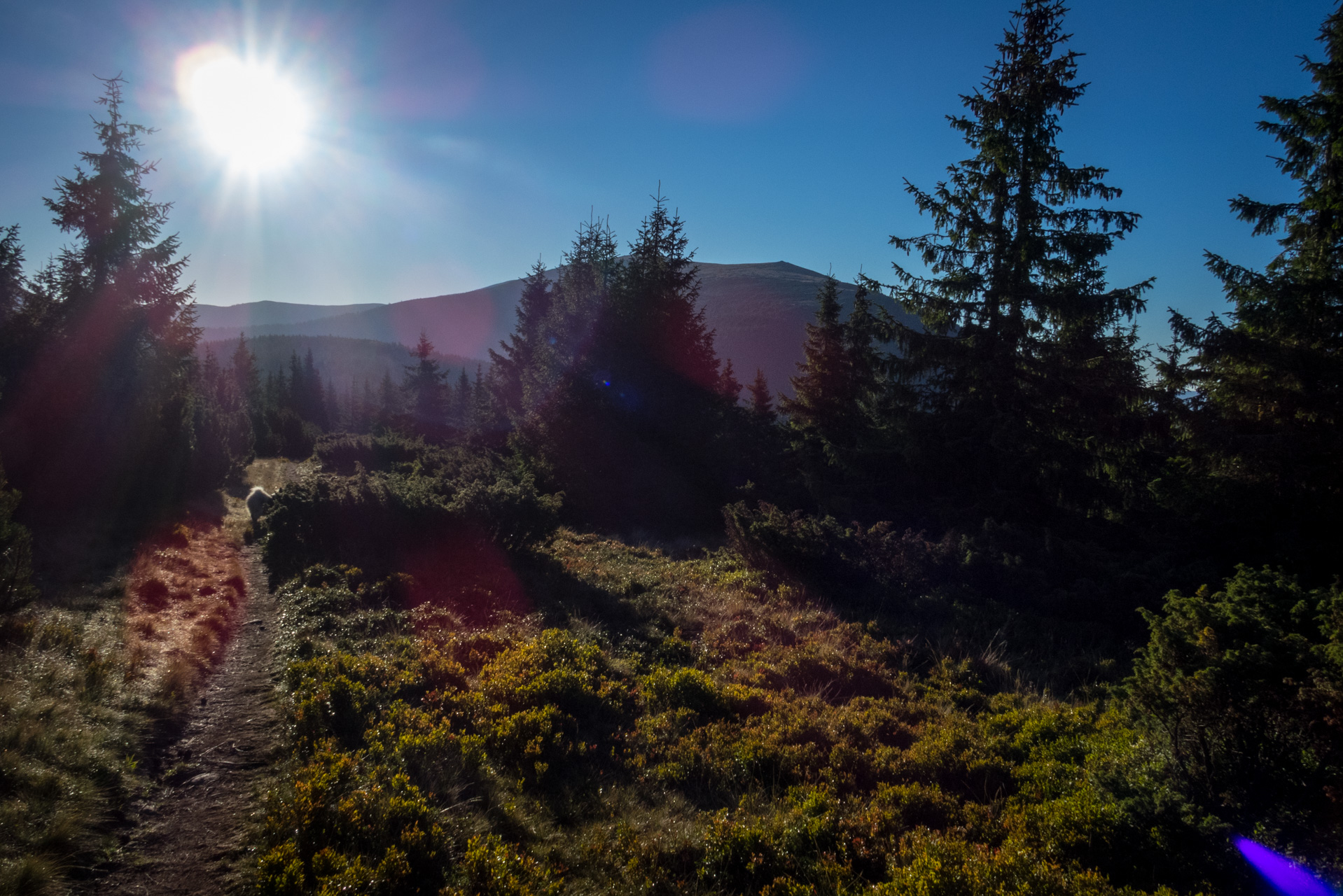 Kráľova hoľa z Andrejcovej (Nízke Tatry)