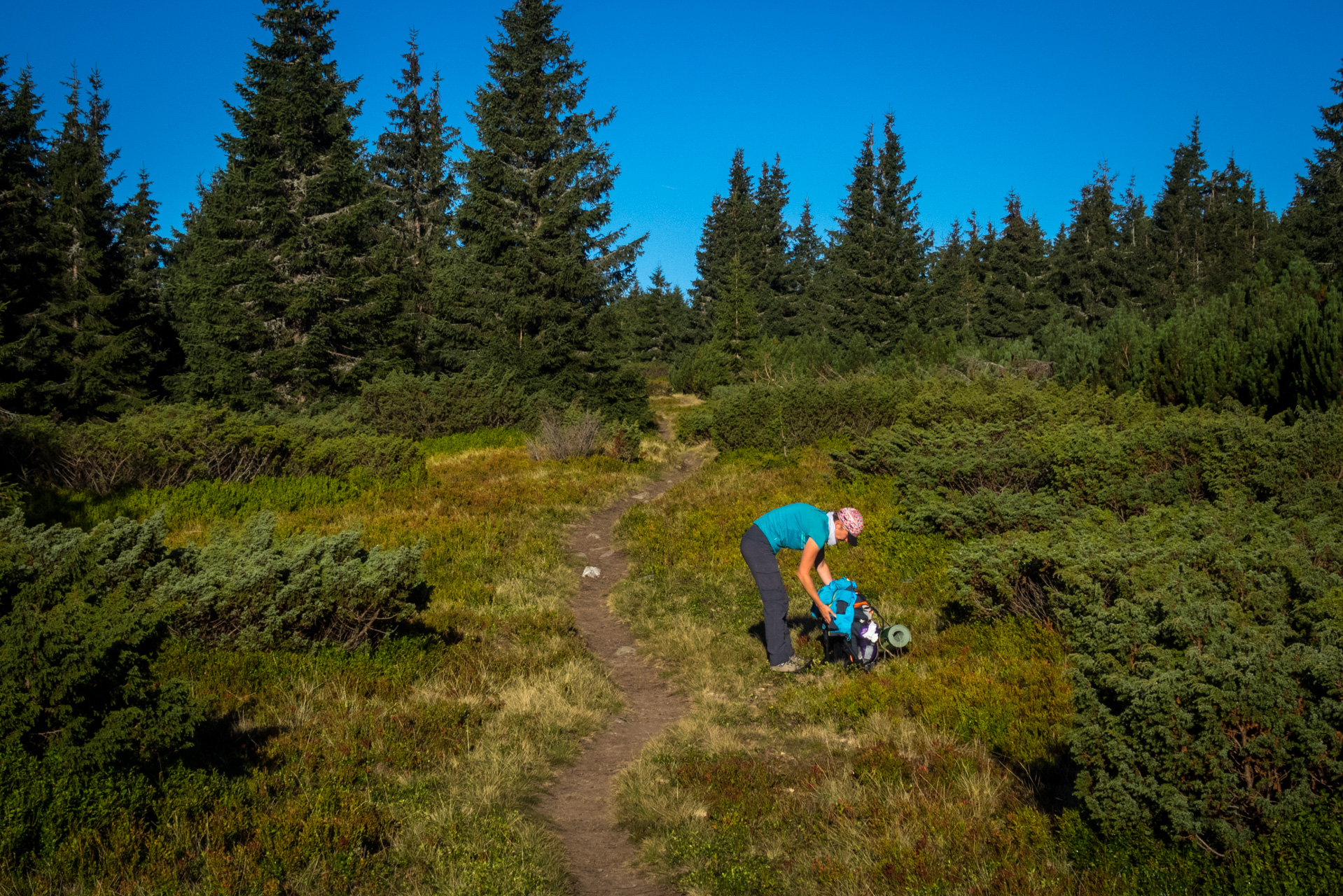 Kráľova hoľa z Andrejcovej (Nízke Tatry)