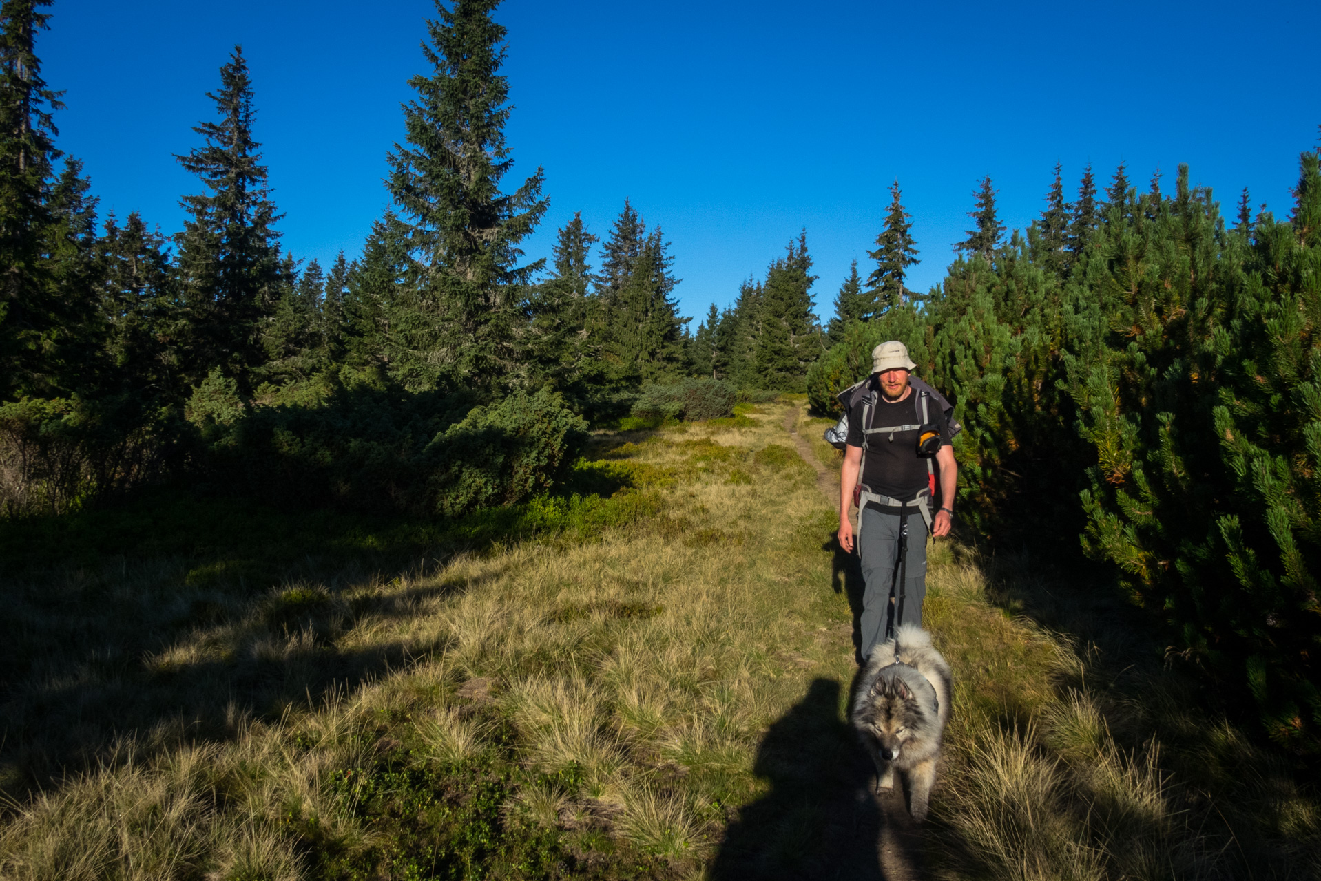 Kráľova hoľa z Andrejcovej (Nízke Tatry)