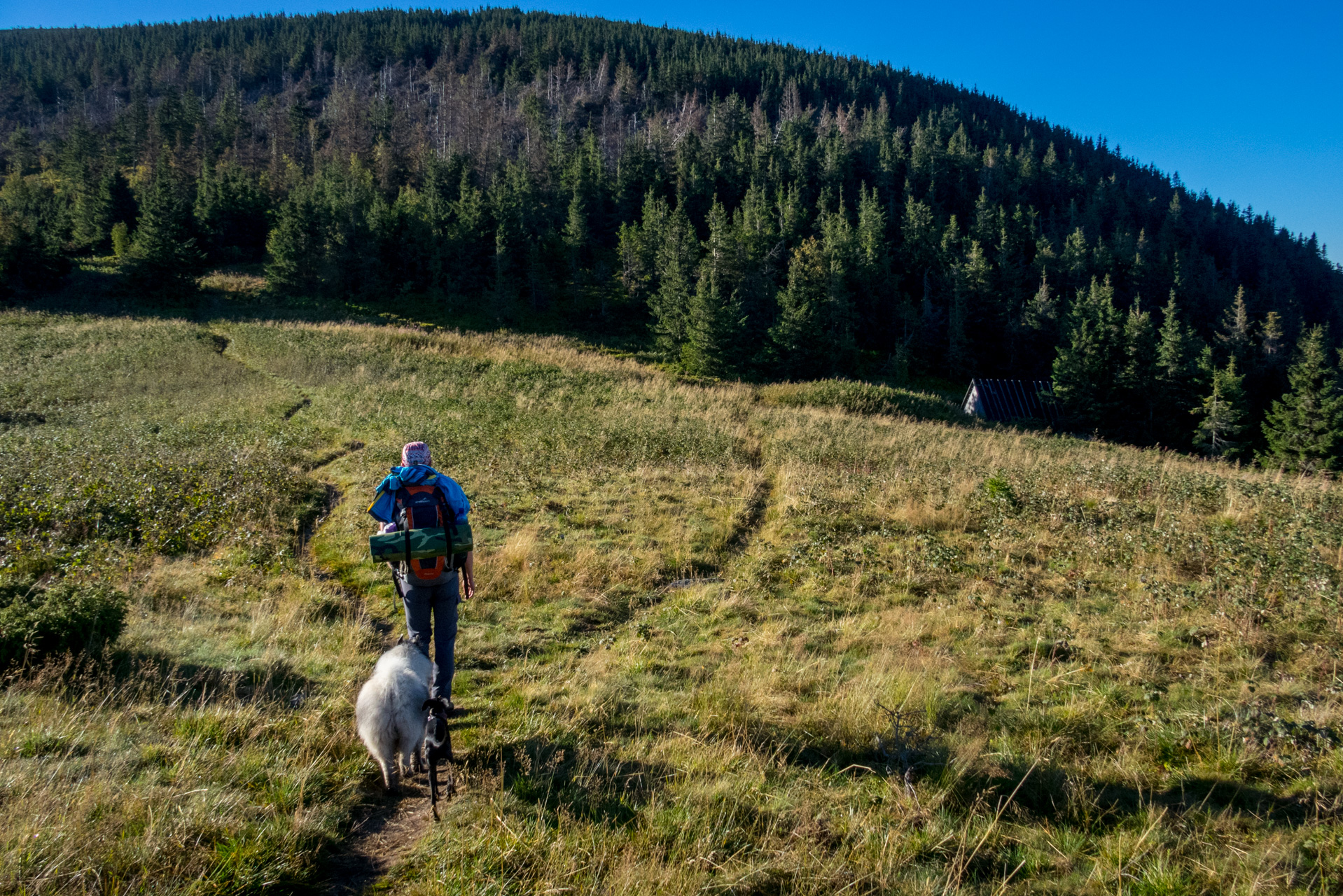 Kráľova hoľa z Andrejcovej (Nízke Tatry)