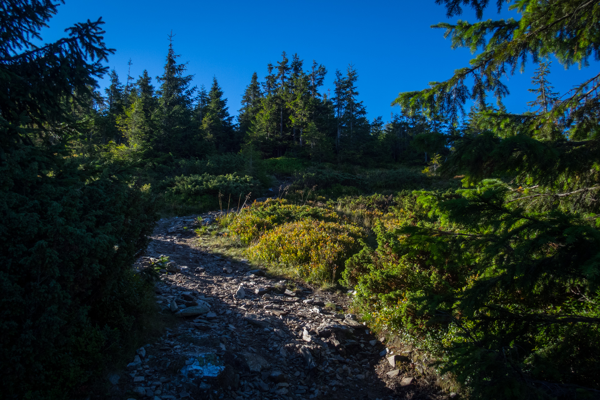 Kráľova hoľa z Andrejcovej (Nízke Tatry)