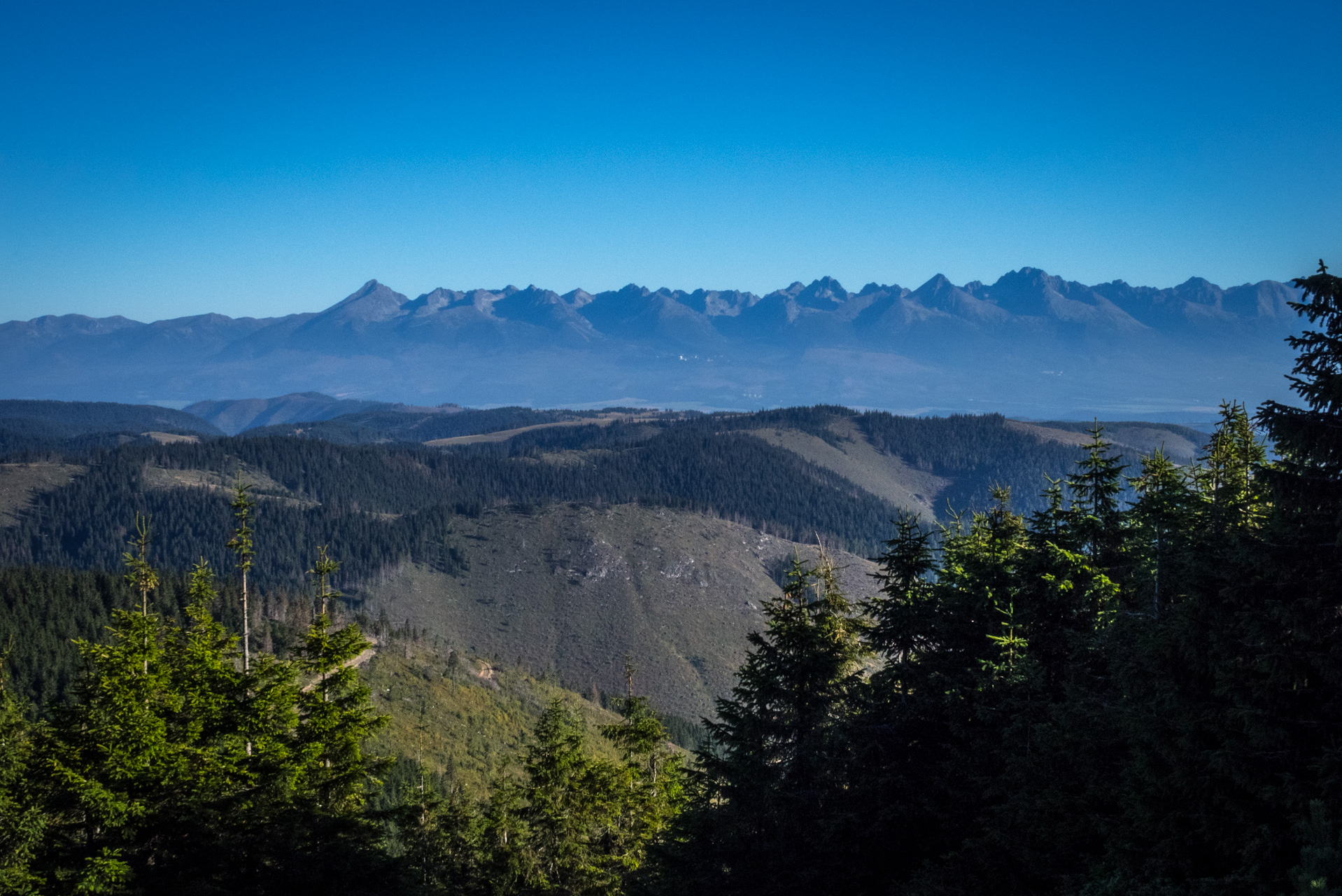 Kráľova hoľa z Andrejcovej (Nízke Tatry)