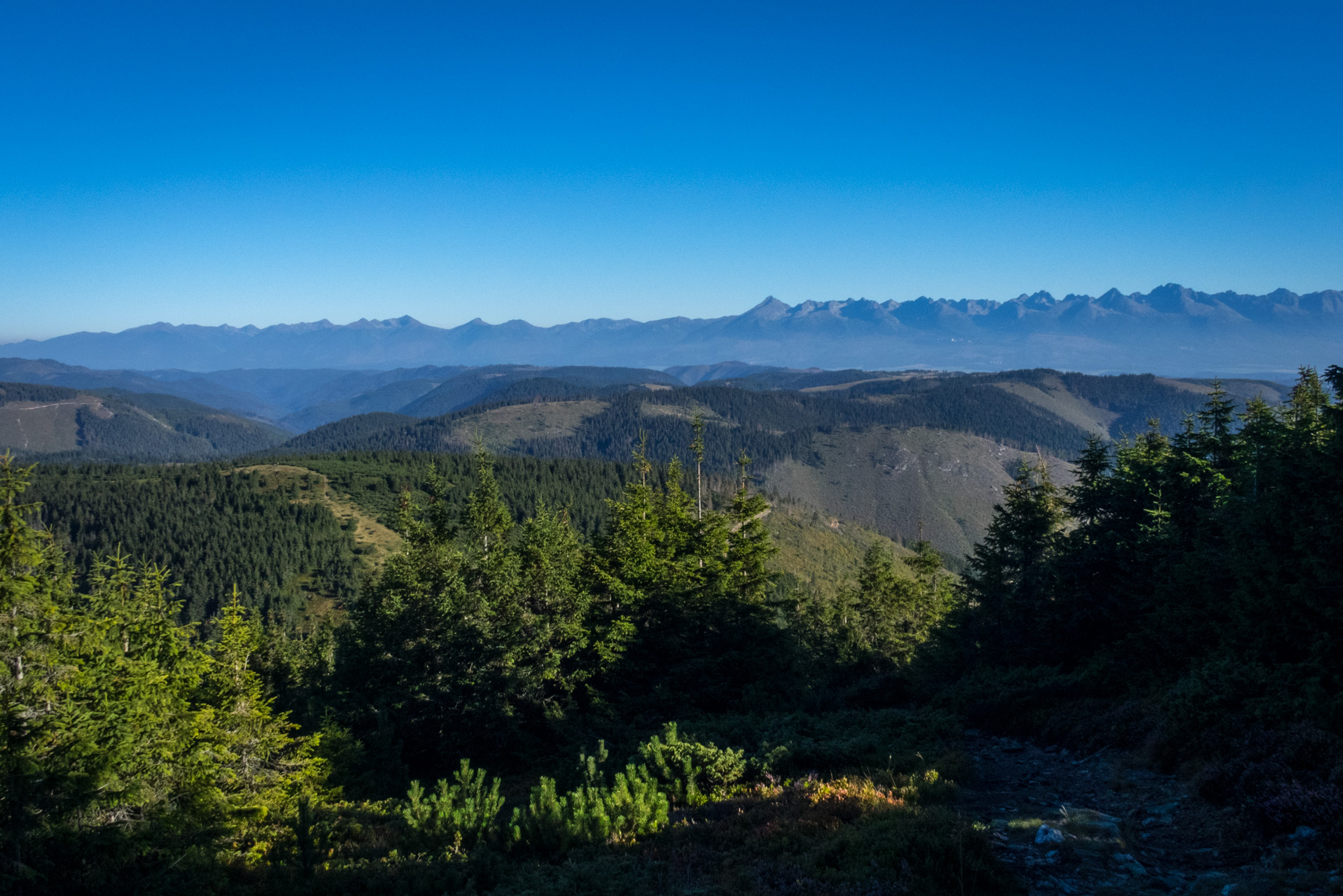 Kráľova hoľa z Andrejcovej (Nízke Tatry)