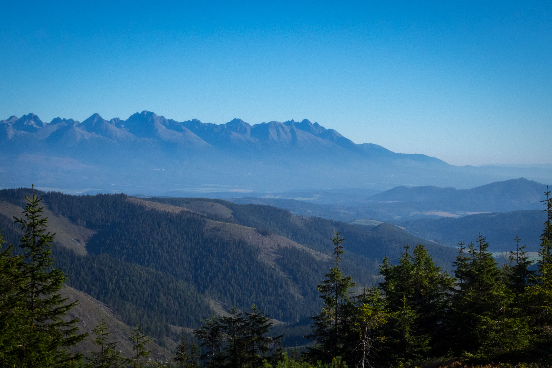 Kráľova hoľa z Andrejcovej (Nízke Tatry)