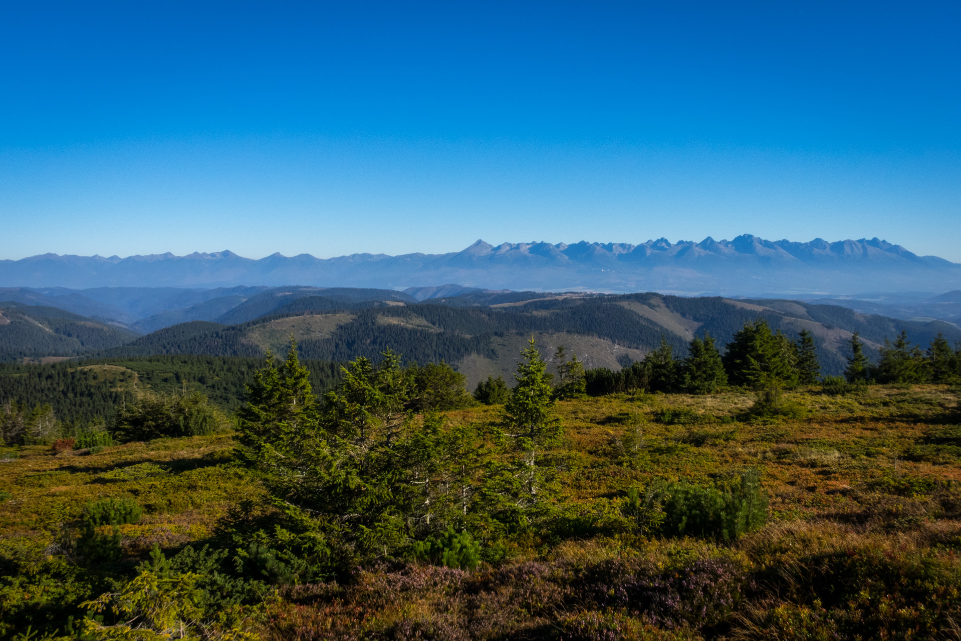 Kráľova hoľa z Andrejcovej (Nízke Tatry)