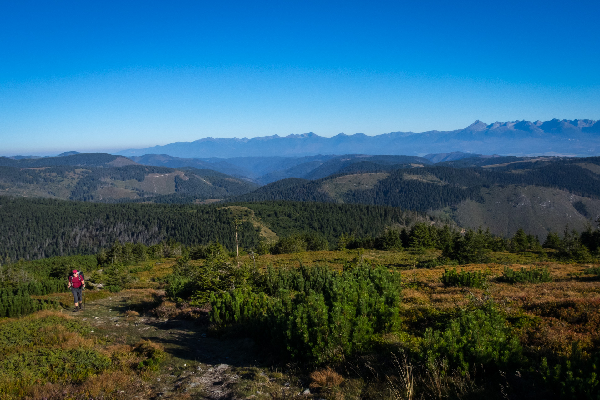 Kráľova hoľa z Andrejcovej (Nízke Tatry)