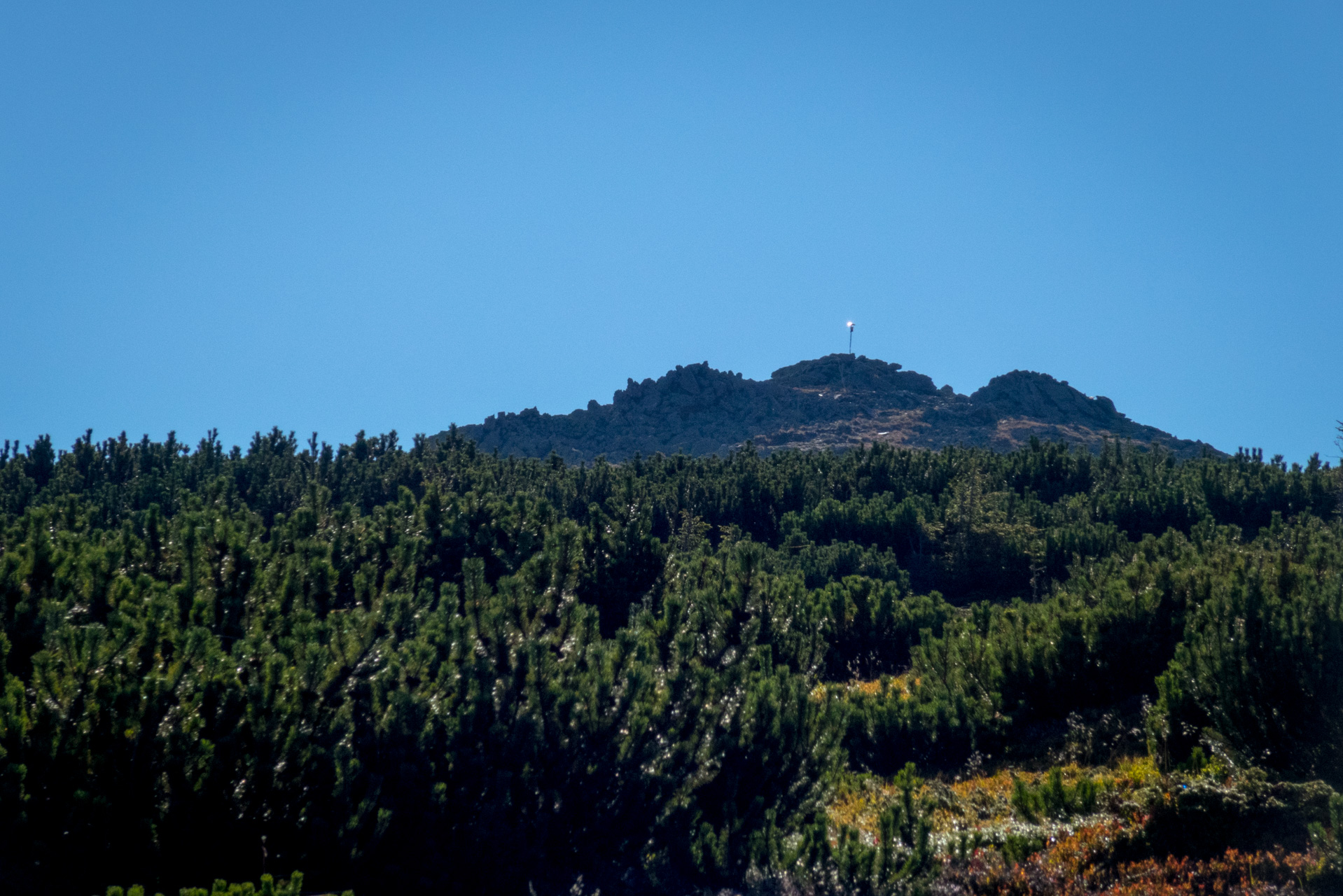 Kráľova hoľa z Andrejcovej (Nízke Tatry)