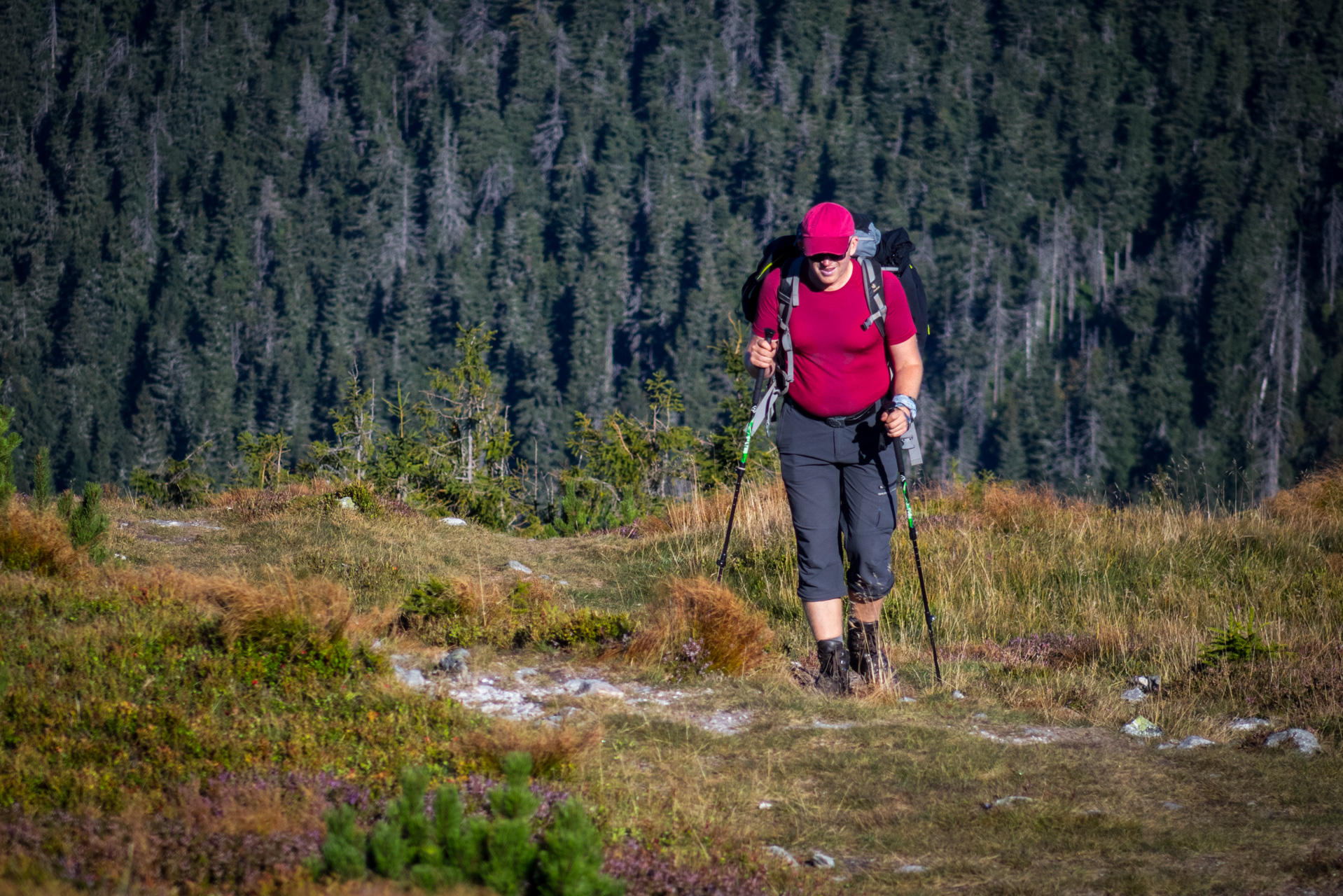 Kráľova hoľa z Andrejcovej (Nízke Tatry)