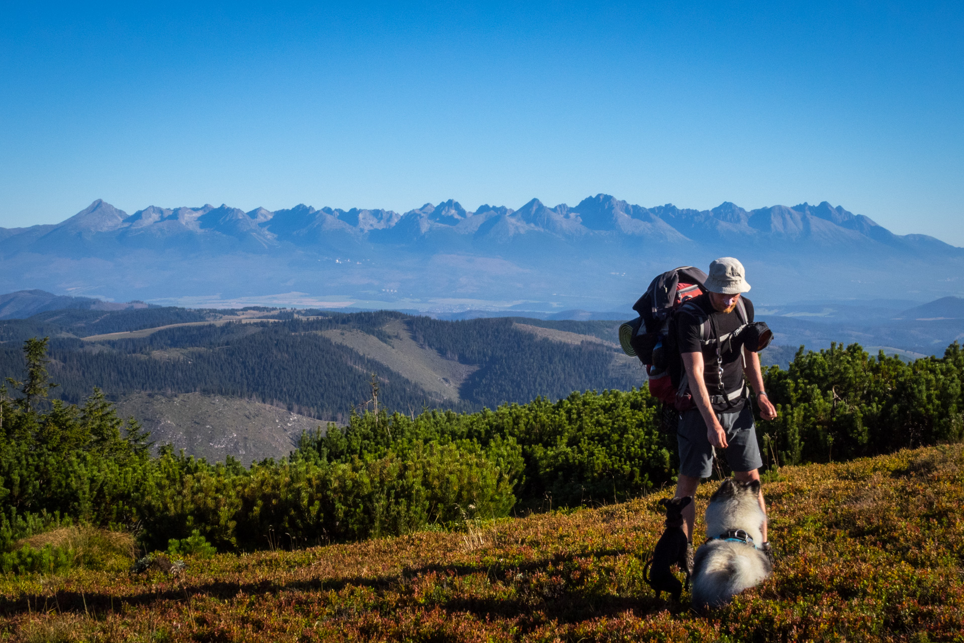 Kráľova hoľa z Andrejcovej (Nízke Tatry)