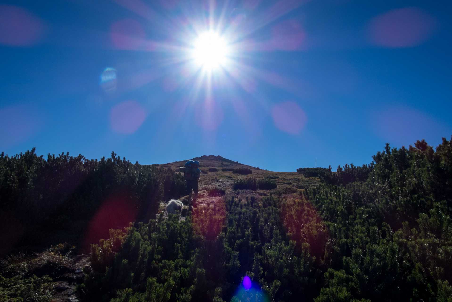 Kráľova hoľa z Andrejcovej (Nízke Tatry)